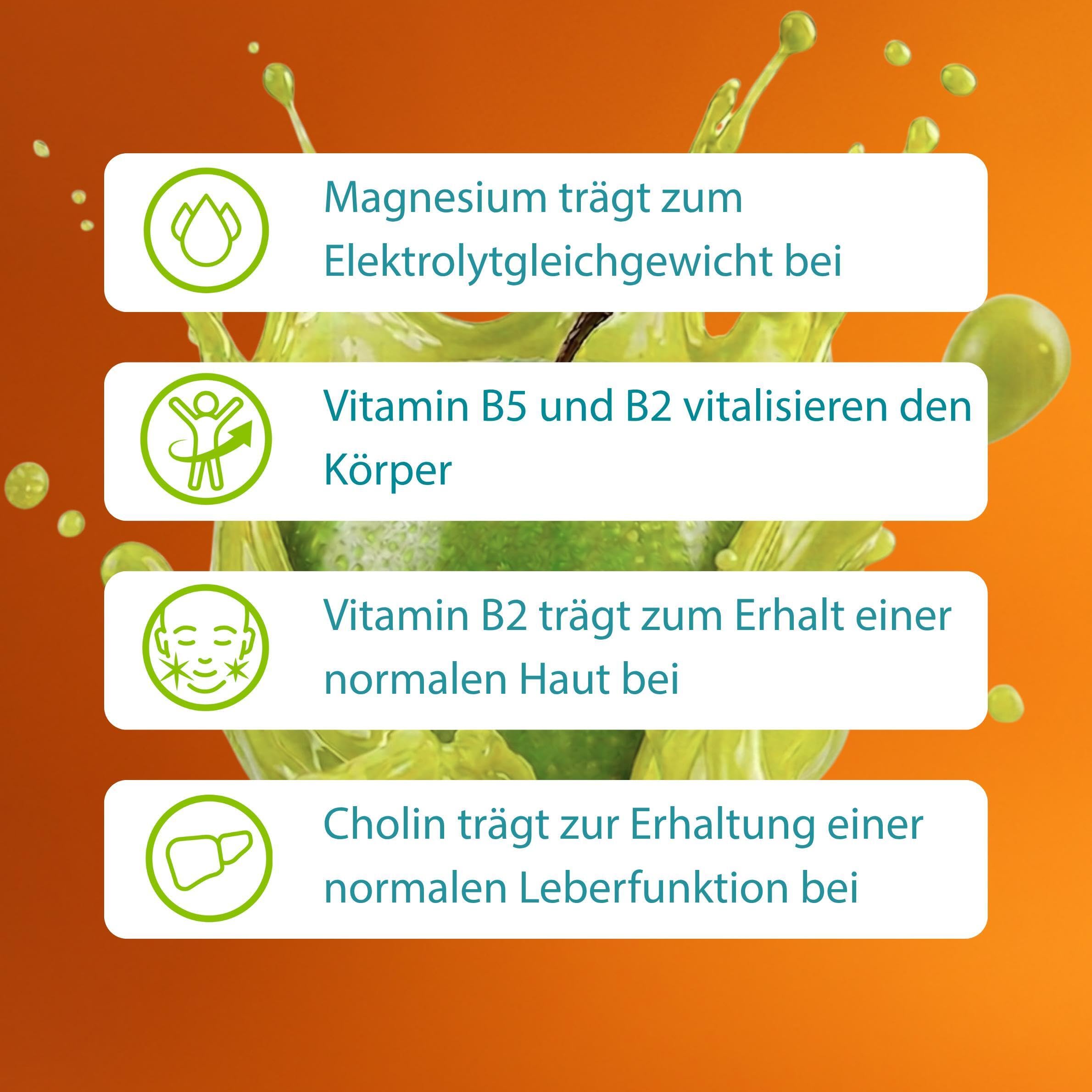 ELOTRANS reload - isotonische Elektrolyt-Glucose-Mischung - Nahrungsergänzungsmittel mit Magnesium, Kaliumchlorid, Cholin und B-Vitaminen - 1 x 15 Beutel - Apfel-Geschmack