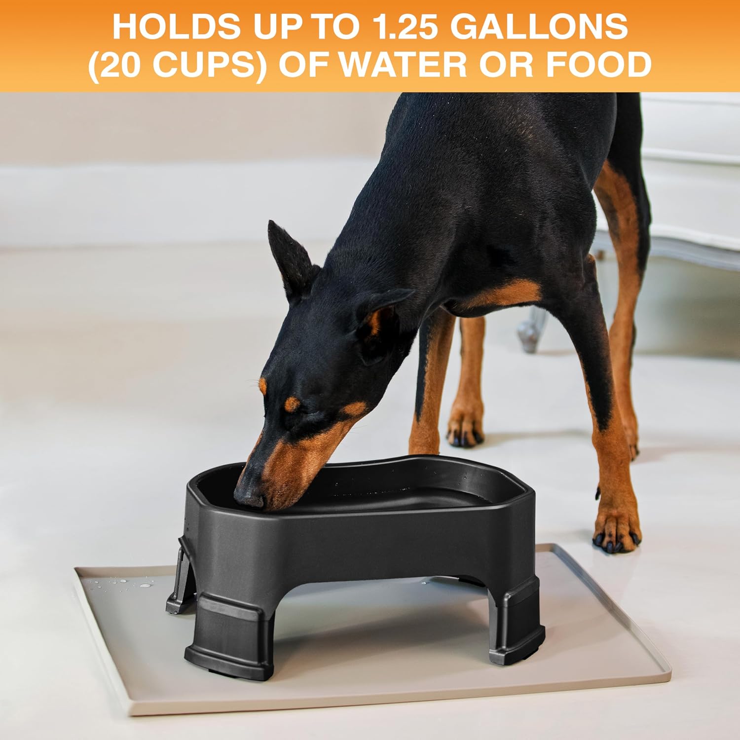 Neater Pet Brands Extra Large Water Bowl for Dogs, Elevated Outdoor Dog Water Bowl (1.25 Gallon XL Capacity), Big Trough Style Food Dish for Indoors or Outside, No Spill Large Dog Bowls, Black