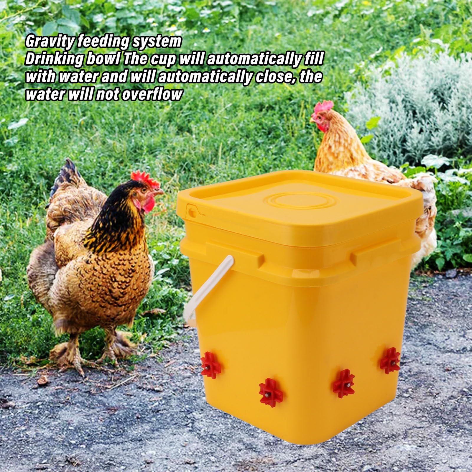 Bebedero Automático para Pollos, Vasos de Agua para Pollos, de Riego para Comedero de Agua para Ganso, Pato, Pavo y Conejito (-3111230182713)