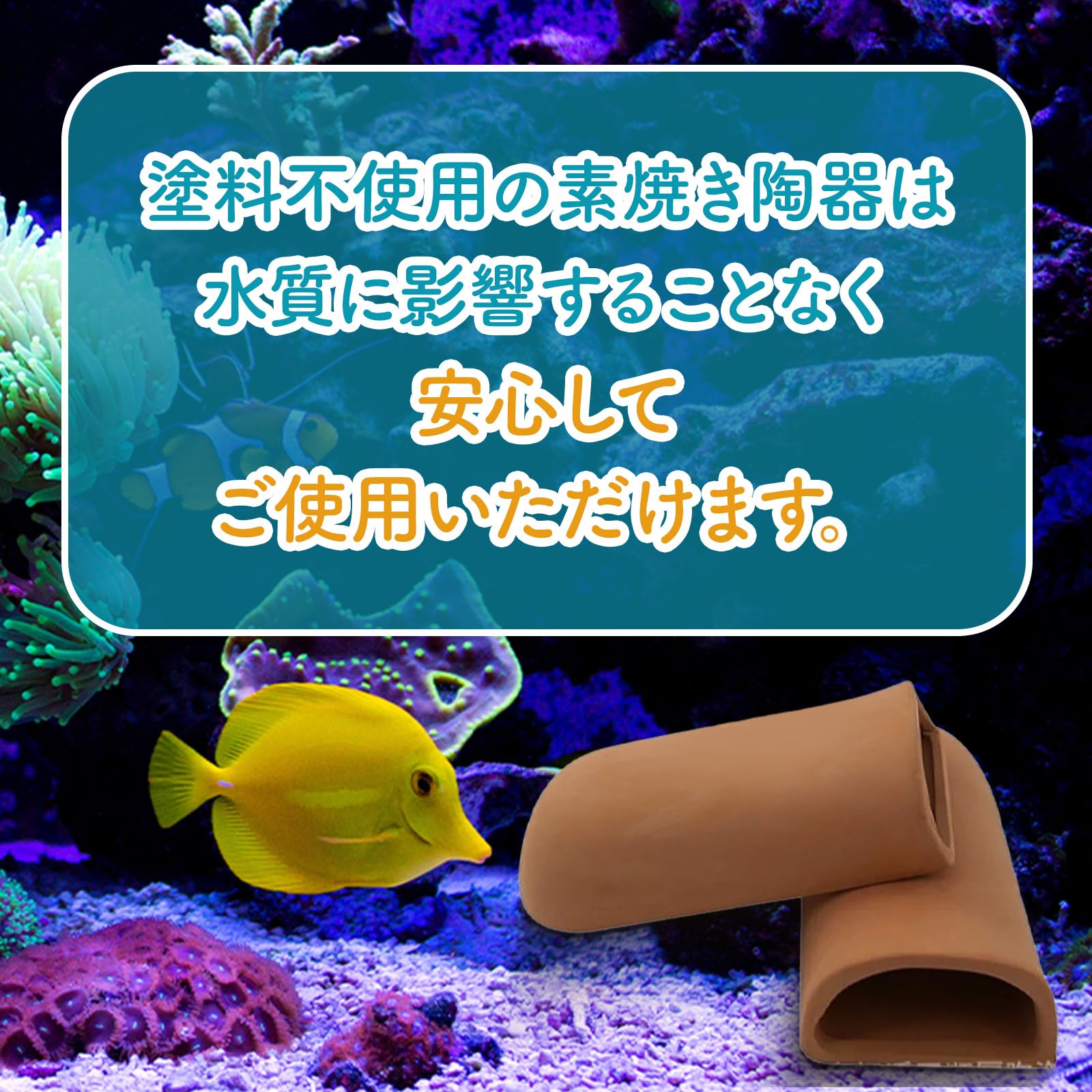 プレコ筒隠れ家 Amazon.co.jp: RedBeryl 水槽 産卵筒 シェルター 産卵床 土管 隠れ家