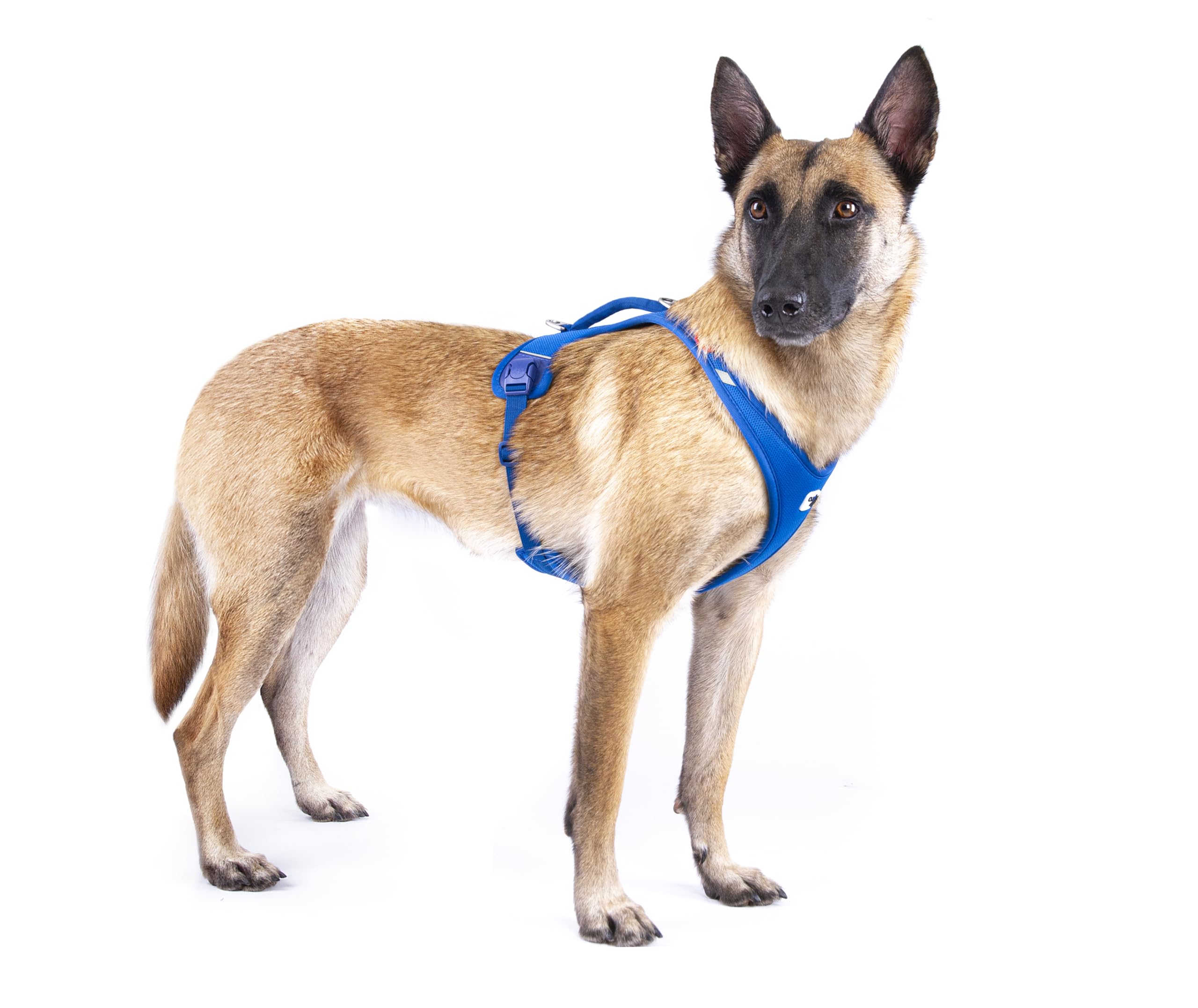 Belka Harness Air-Mesh Black 3XL