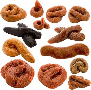 Amazon.com: ONEST 13 Pieces Fake Poop Toys Prank Props Realistic Dog ...
