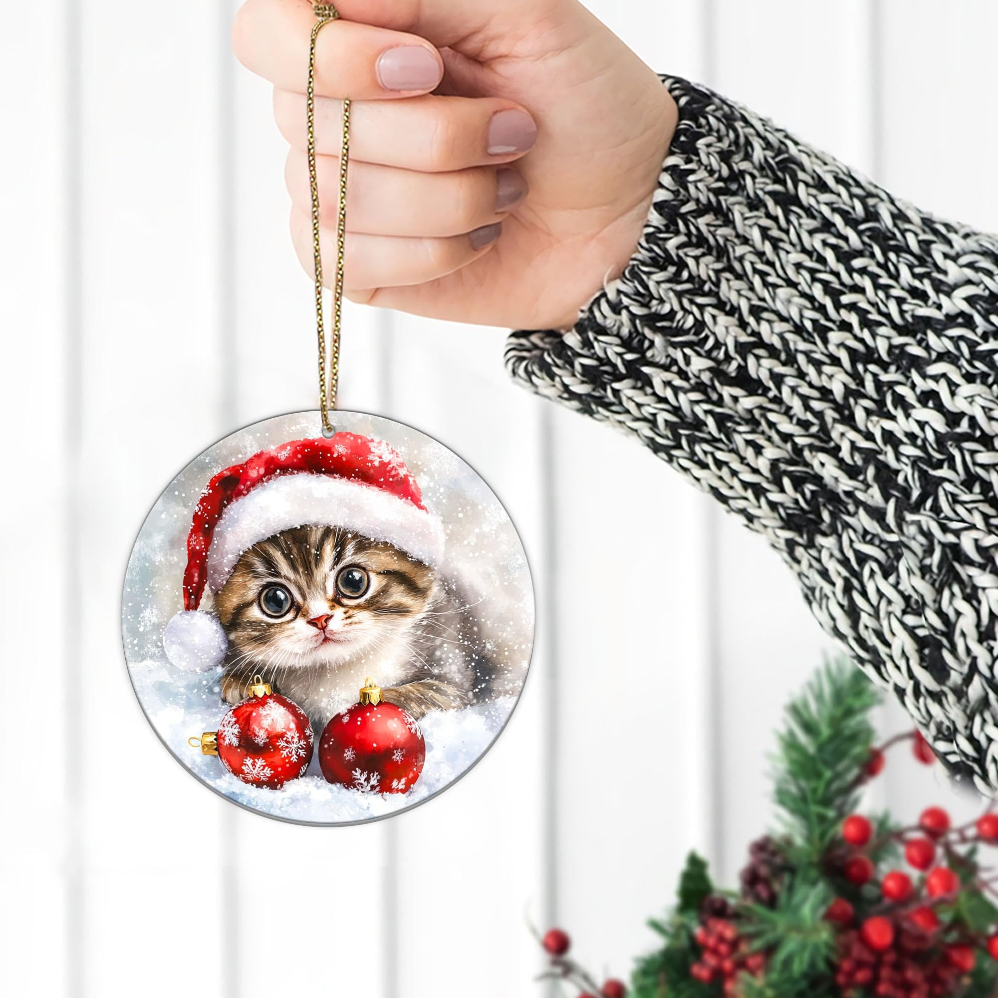 Amazon.com: Christmas Ornaments, Cat Lover Gifts for Women, Funny