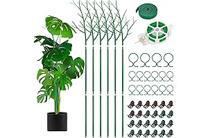 6-Pack Plant Support Stakes: Green Oasis for Vertical Growth