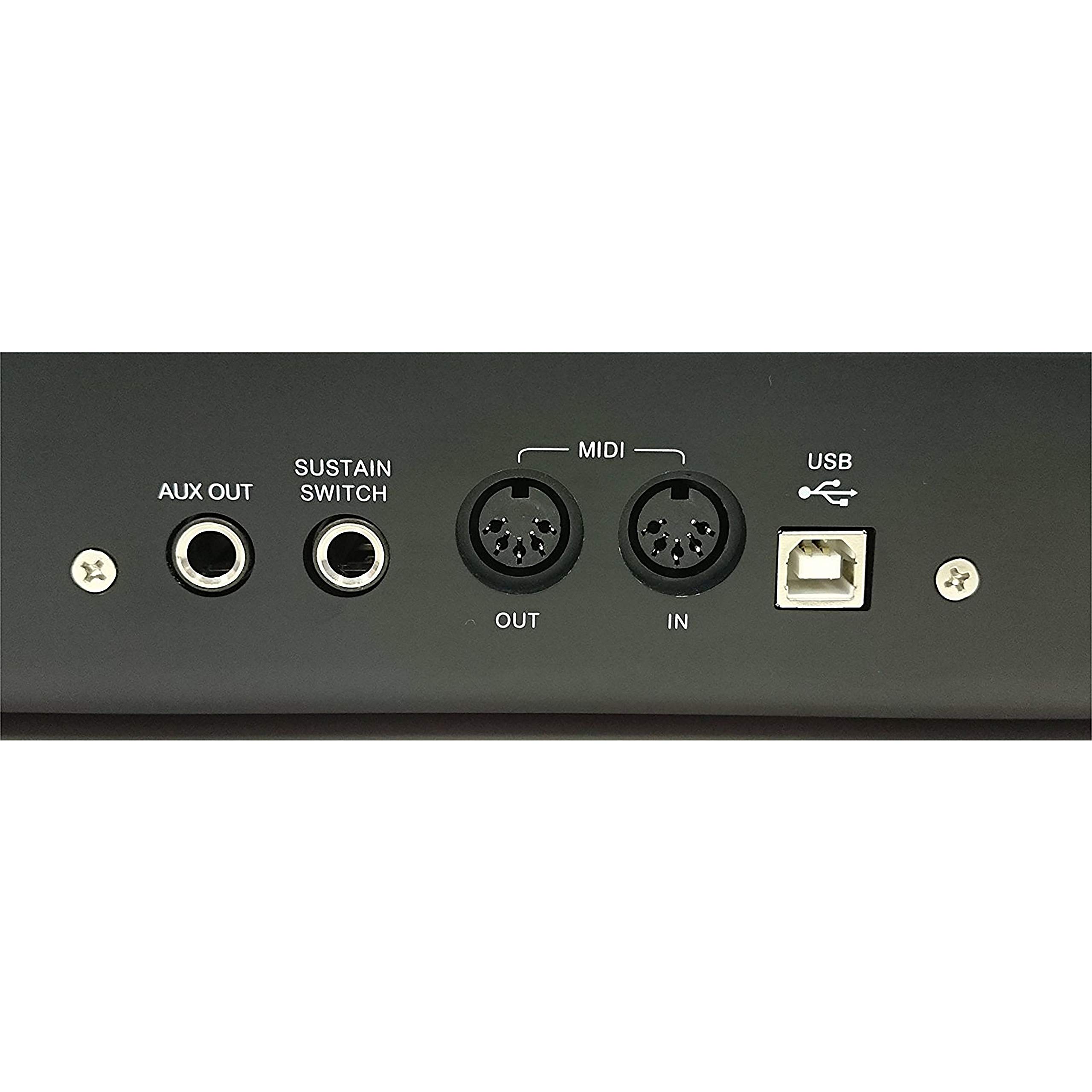 Amazon.com: midiplus Stage 88 USB MIDI Performance Keyboard