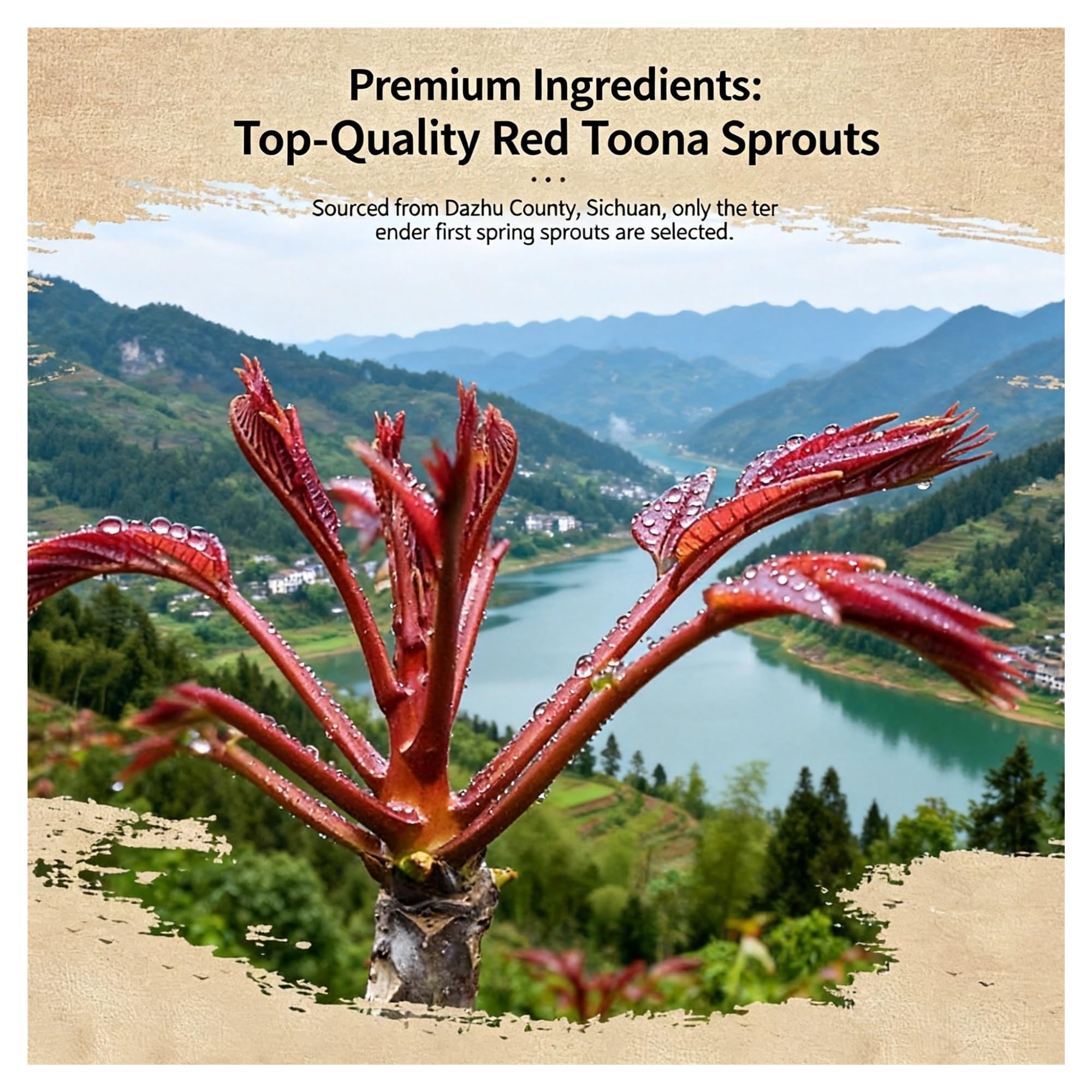 Toona Sinensis i sos grzybowy, doskonała przyprawa do codziennego gotowania, wygodna i gotowa do spożycia(2pcs)