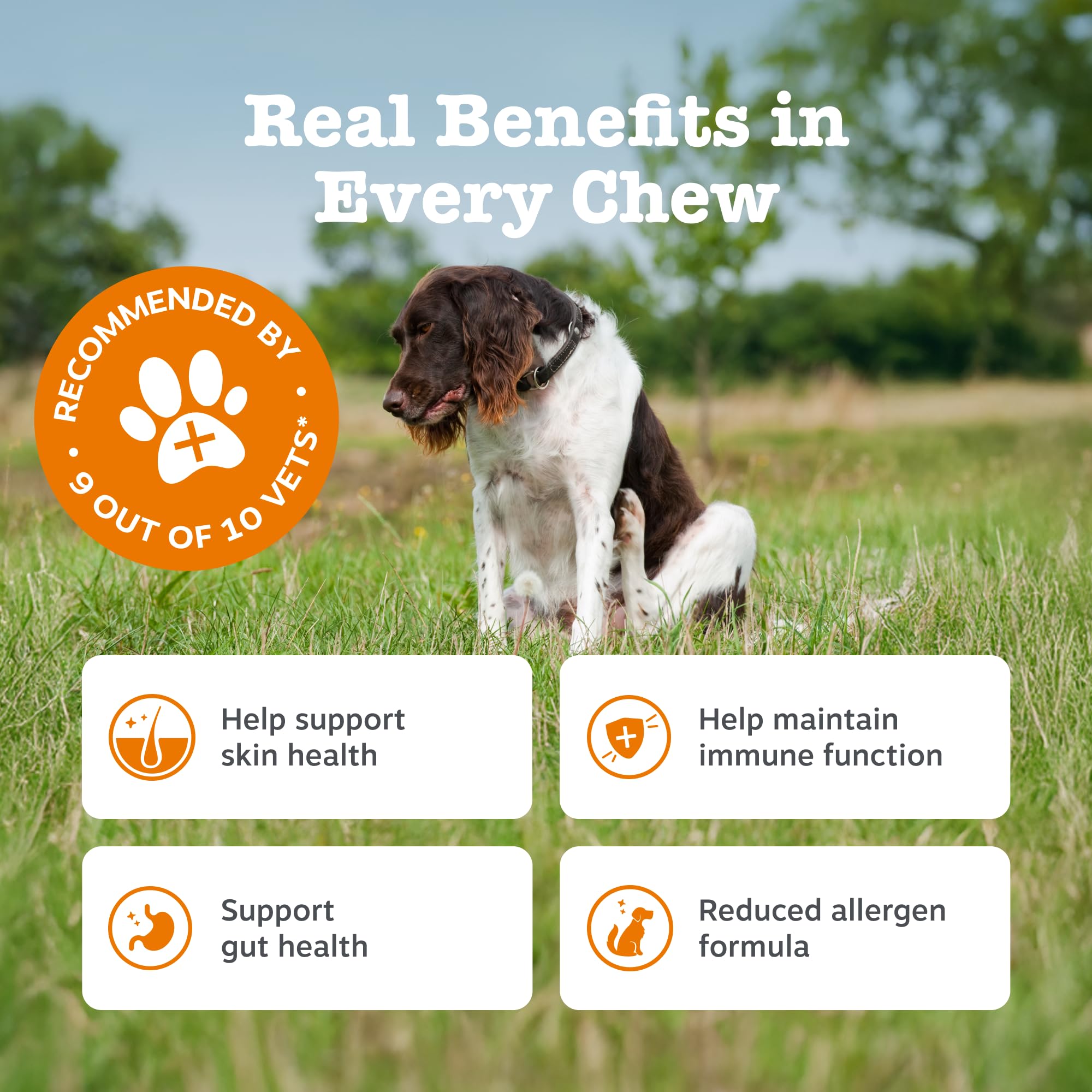Zesty Paws Suplemento para Perros | Alivio de alergias e inmunidad | Antipicazón y Alivio de la Piel con antihistamínico | Aceite de salmón y Omega 3 | 90 Piezas