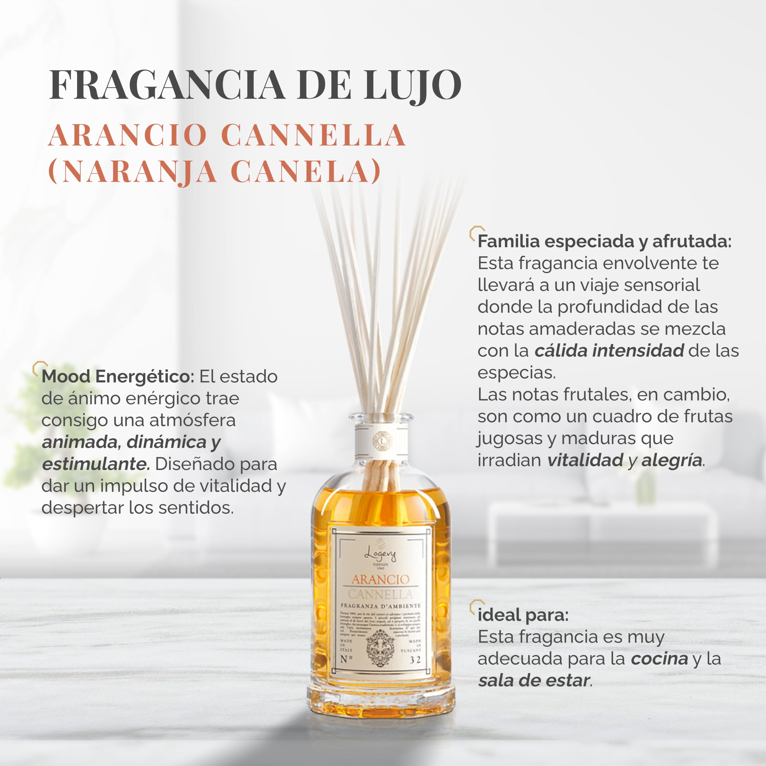 LOGEVY - Ambientador - Naranja Canela - Nueva Colección 2022 (500 ml NEW 2022)