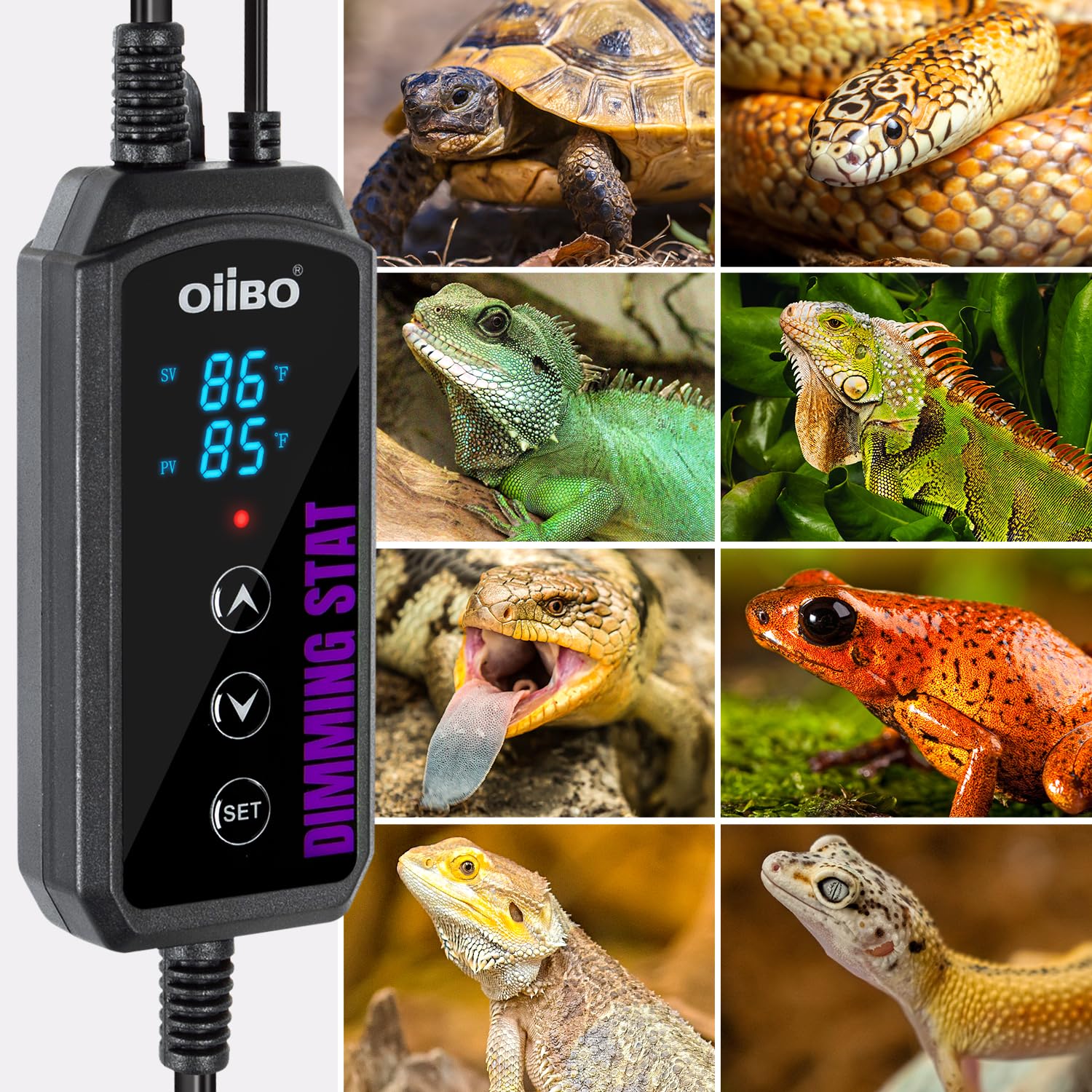 Oiibo Digital Heat Mat Thermostat, PID Reptile Heat Lamp Dimming Thermostat Heating Pad Temperature Controller for for Aquarium Reptiles and Seedling, Breeding, Hatching - image 8