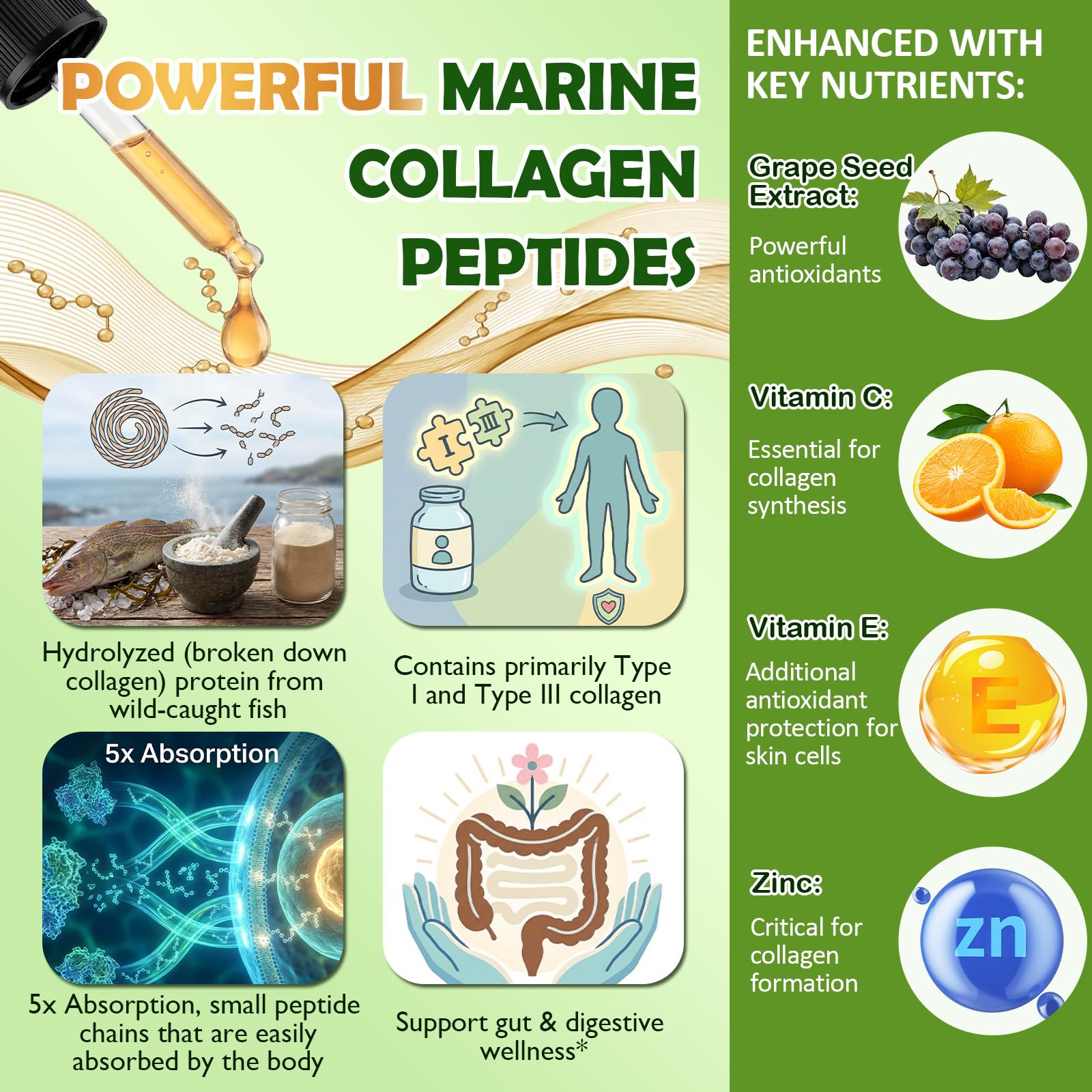 Marine Collagen Peptides Liquid Drops, Hydrolyzed Multi Type I & III Collagen w. Vitamin C E Grape Seed Extract for Joint, Skin, Hair & Nail, Liquid Collagen High Absorption for Women Men, Wild-Caught — Amazon image 2
