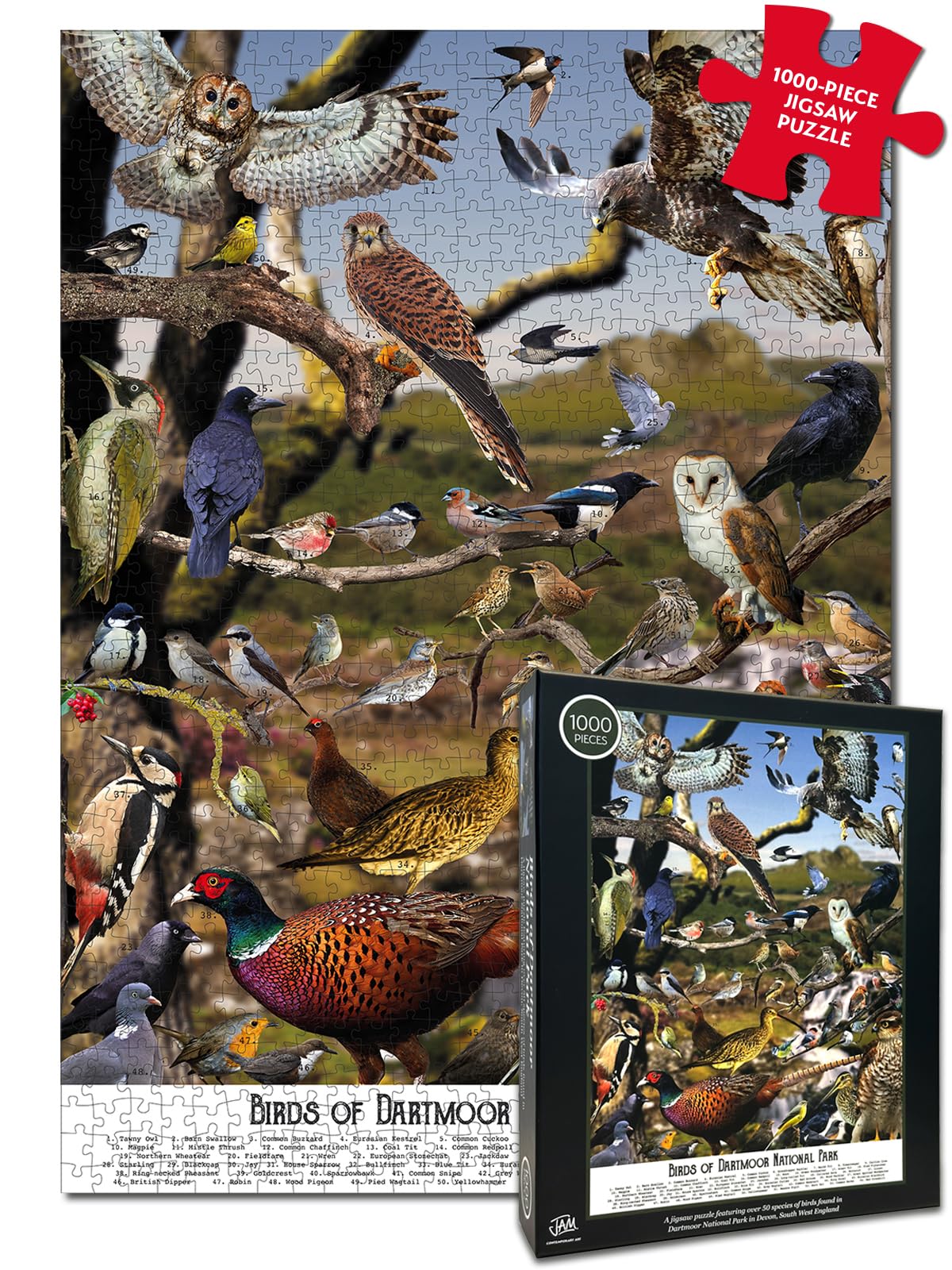 Bird Puzzles for Adults 1000 Pieces | Discover Birds of Dartmoor National Park - A 1000 Piece Jigsaw Puzzle for Adults | Gift for Nature and Wildlife Lovers | Adapted from an Original Art Collage
