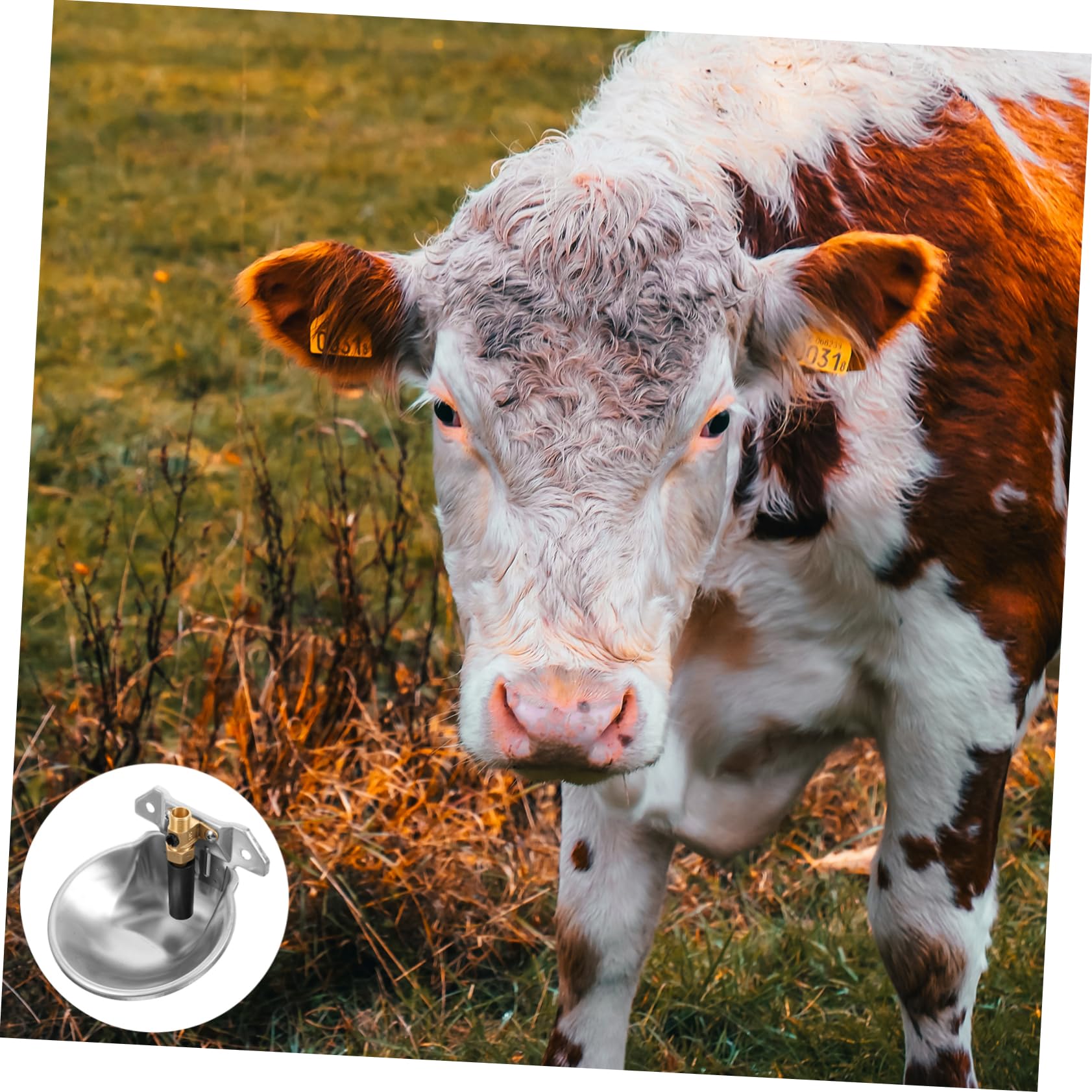 Abreuvoir Automatique Argenté en Bétail Acier Inoxydable | Grand Volume, Bords Arrondis, Usage Ferme et Farmhouse, Alimentation en Eau Continue, Finition sans Rouille