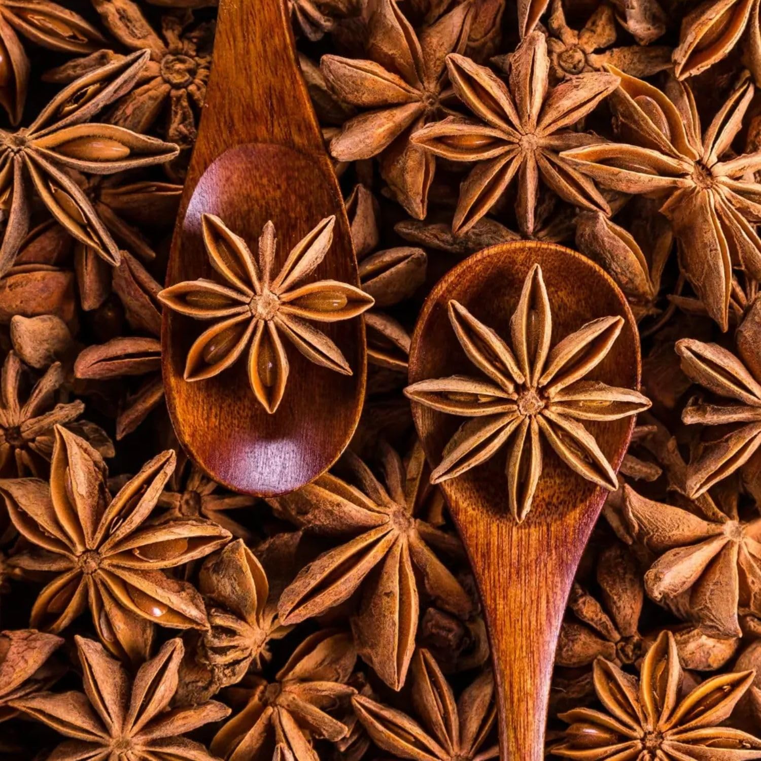 Bongiovanni Bontà Naturali Anice Stellato Intero 500g | Spezia Premium Essiccata per Infusi, Dolci e Liquori | Aroma Intenso e Naturale, Ideale per Cucina e Decorazioni | Qualità Superiore
