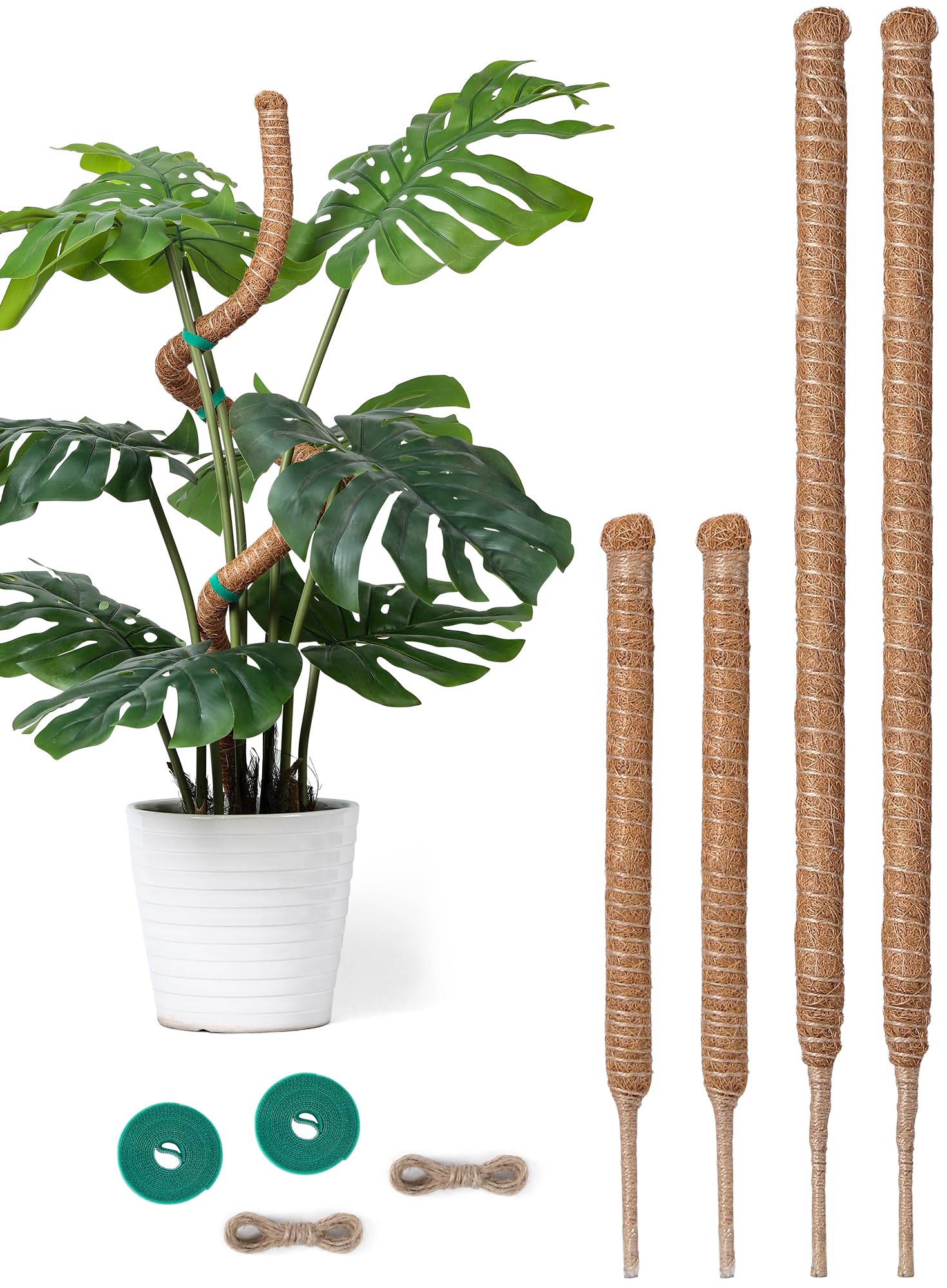 Snuvid 4-Pack Moss Pole