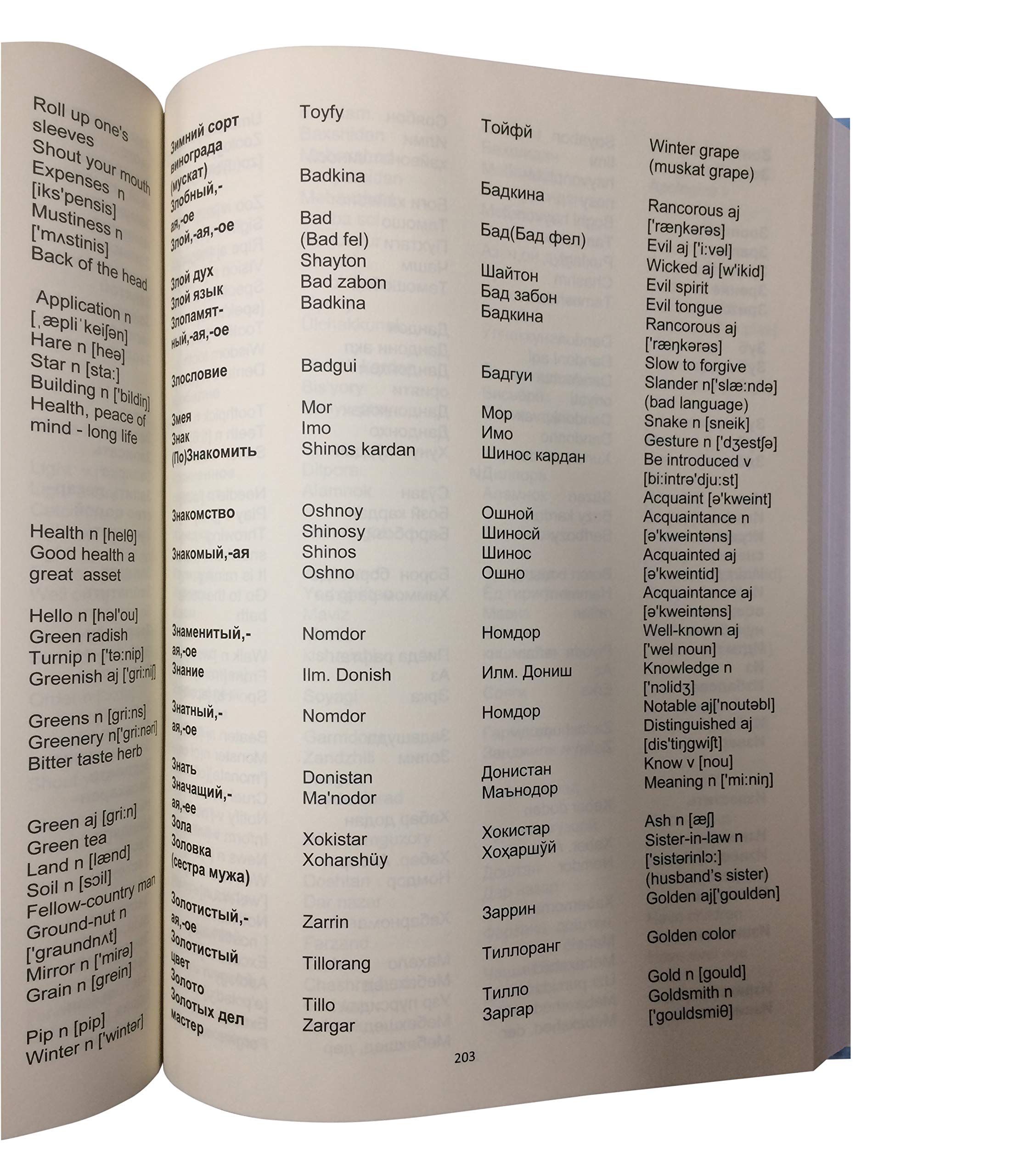 The Combined Dictionary English Russian Jewish Bukarin Amazon Com Books