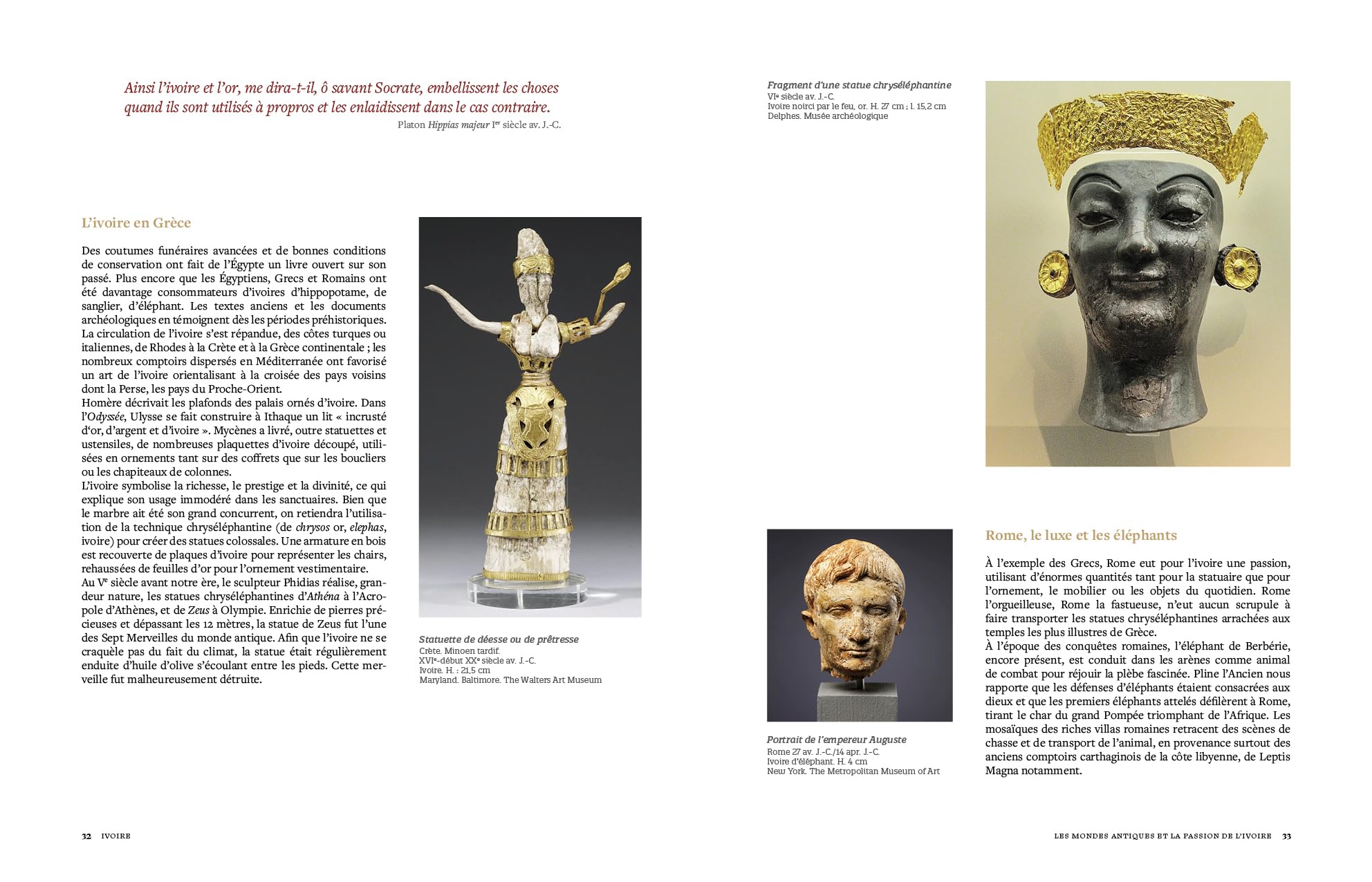 Ivoire. Secrets de l'or blanc