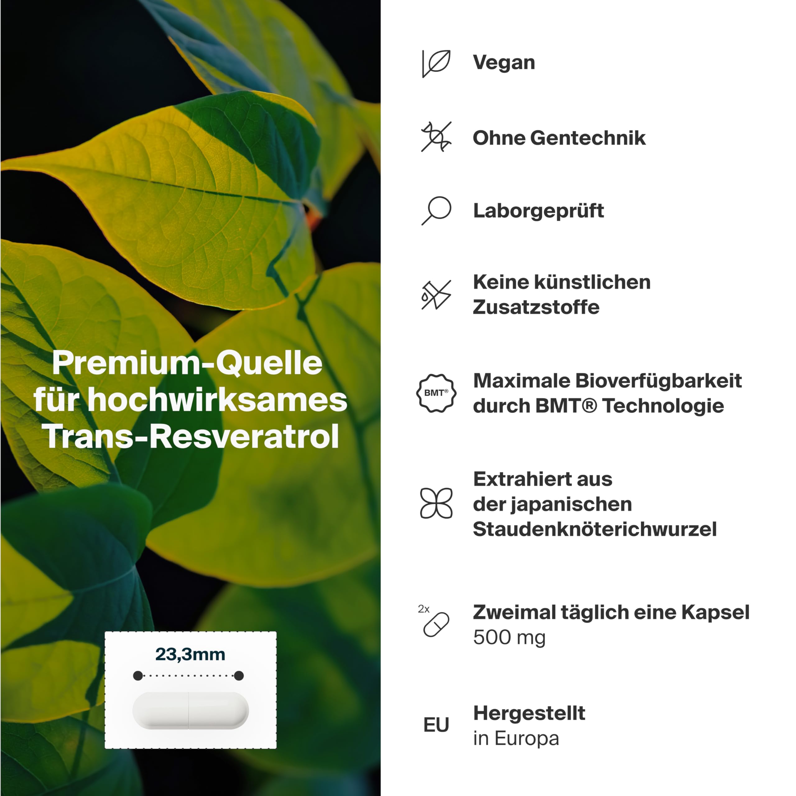 RESVERATROL 500 mg 60 Kapseln – Hochdosiertes Trans-Resveratrol mit BMT® Mikroverkapselung | Unterstützt Zellschutz, Herzgesundheit, Vitalität | Vegan, ohne Zusatzstoffe | Japanischer Staudenknöterich