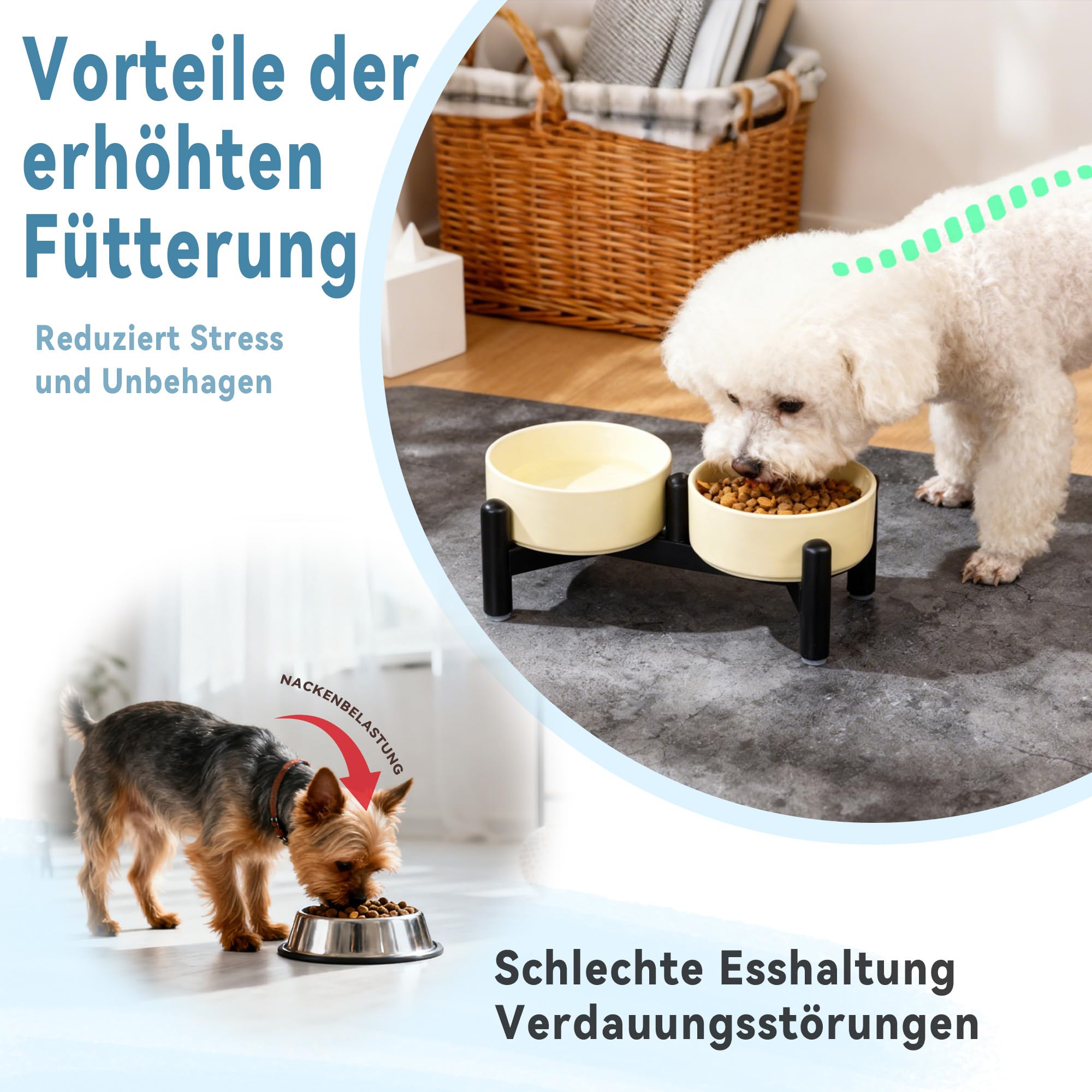 Keramik Hundenapf Erhöht mit Edelstahl-Ständer - Stylisch Doppelnapf Futterstation für Katzen und Kleine Hunde - rutschfest Hund Napf Set für Futter und Wasser - 140g / 260ml - Höhe 10cm - Blau