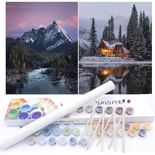 BAISITE Paint by Numbers Kit for Adults Beginners,12" Wx16 L 2 Pack Canvas for Painting Kits for Adults in Colorful Box-PBN219-220