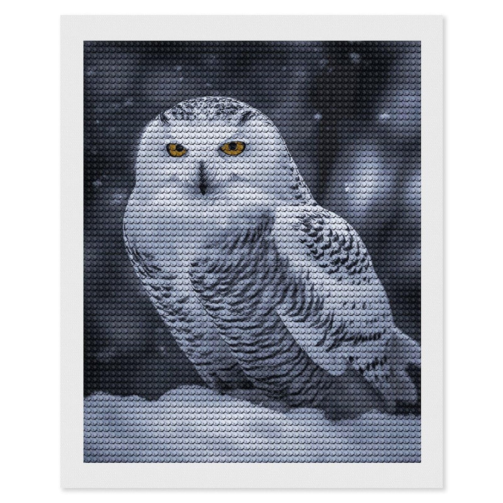 Arctic Owl Diamond Painting Kits for Adults, DIY 5D Diamond Painting Kits for Beginners, Round Full Drill Diamond Dots Paintings, Diamonds Pictures Gem Art for Crafts Home Decor 16"x20"