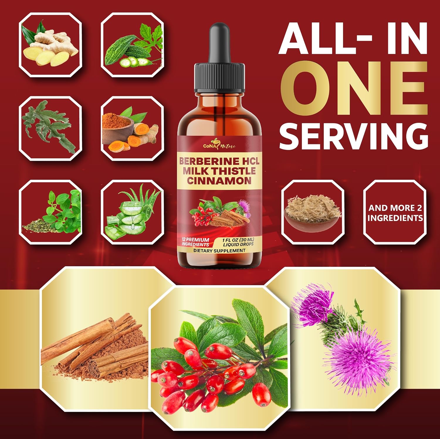 12in1 Berberine Liquid Drops with Milk Thistle, Ceylon Cinnamon, Bitter Melon, Turmeric, Aloe Vera, Ginger, Slippery Elm, Marshmallow Root & More to Digestive Health- 30 Days Supply - Image 3