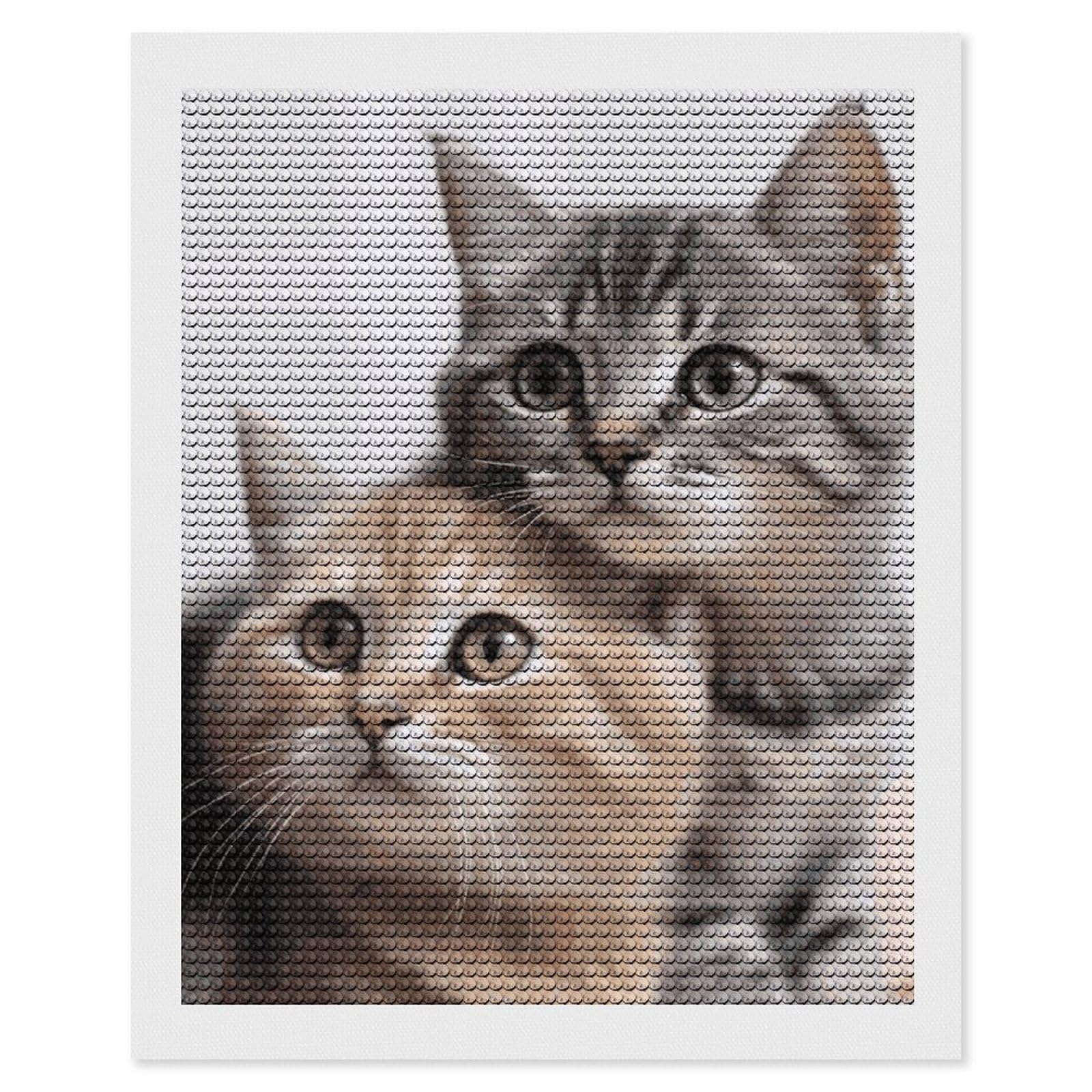 DWVTSLH Cats Diamond Painting Kits for Adults, Personalized Diamond Photo Art Full Drill, DIY 5D Diamond Art Painting Kits for Beginners, Home Wall Decor 16"x20"