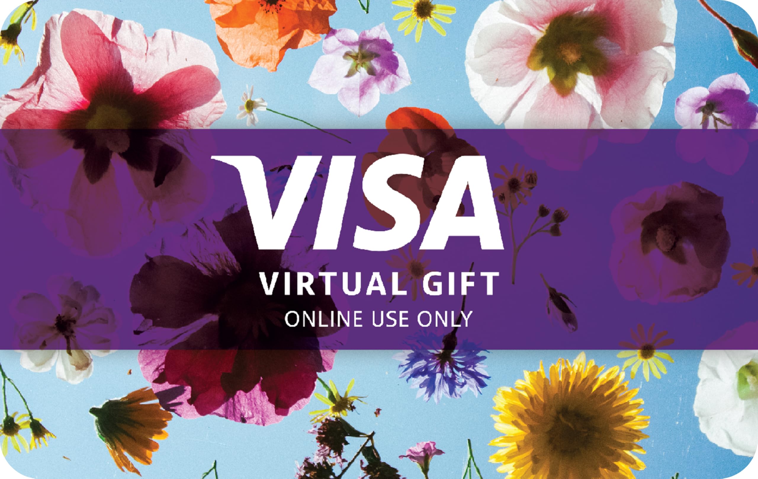 Visa Virtual $100 eGift Card (plus $5.95 Purchase Fee) - For Online Use Only: 100 Floral