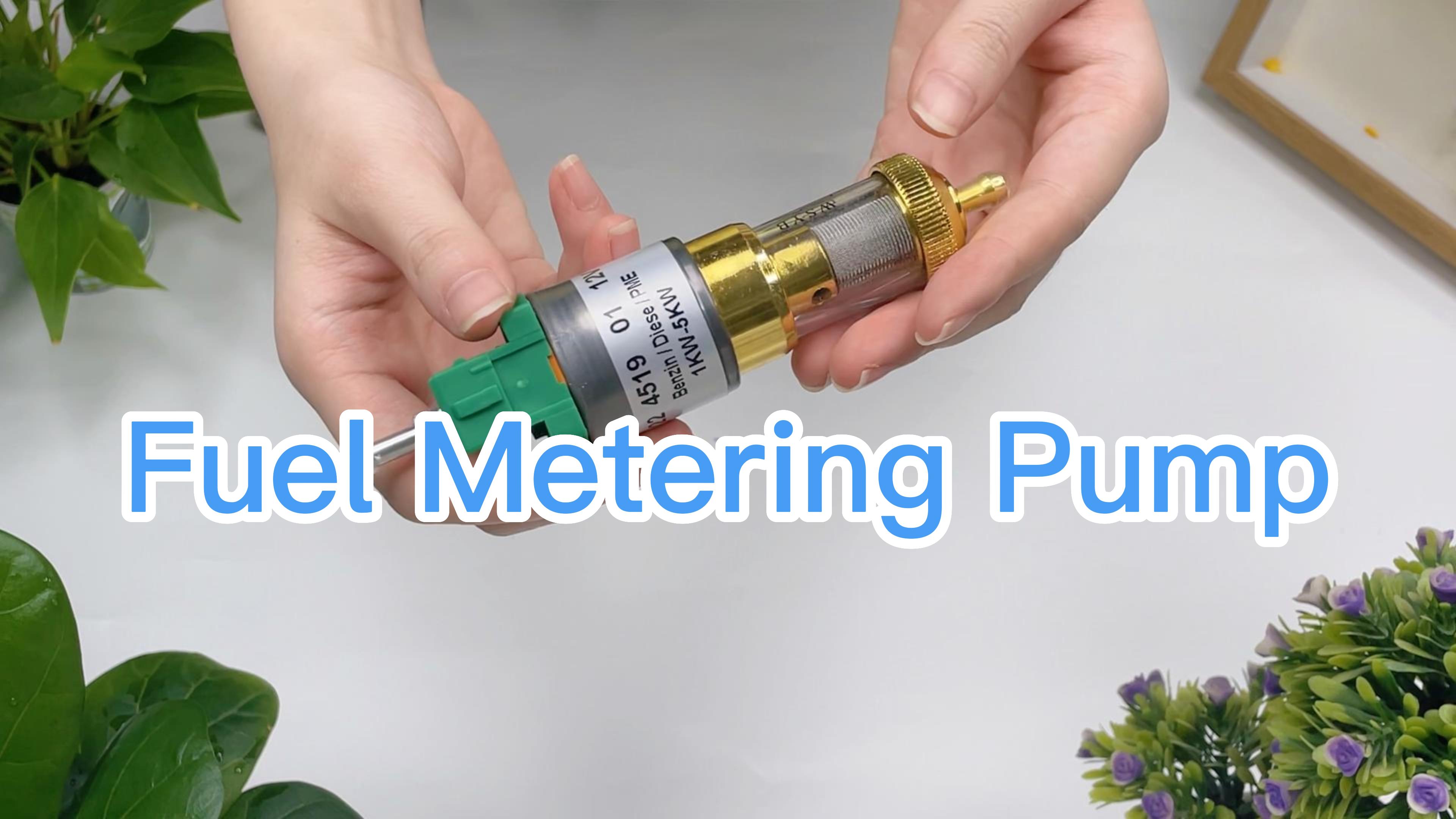 Eberspacher D2 D4 Pompa Dosatrice Carburante Per Riscaldatore Eberspacher Airtronic D2 D4 12v G 265171 - Foto 13