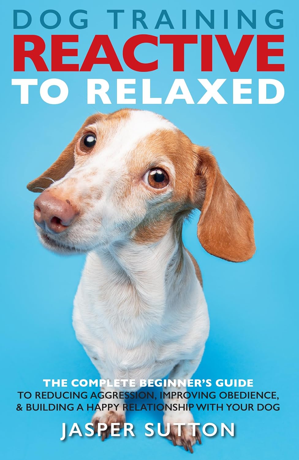 Dog Training Reactive To Relaxed: The Complete Beginner’s Guide to Reducing Aggression, Improving Obedience, & Building a Happy Relationship With Your Dog Dog Training Reactive To Relaxed: The Complete Beginner’s Guide to Reducing Aggression, Improving Obedience, & Building a Happy Relationship With Your Dog