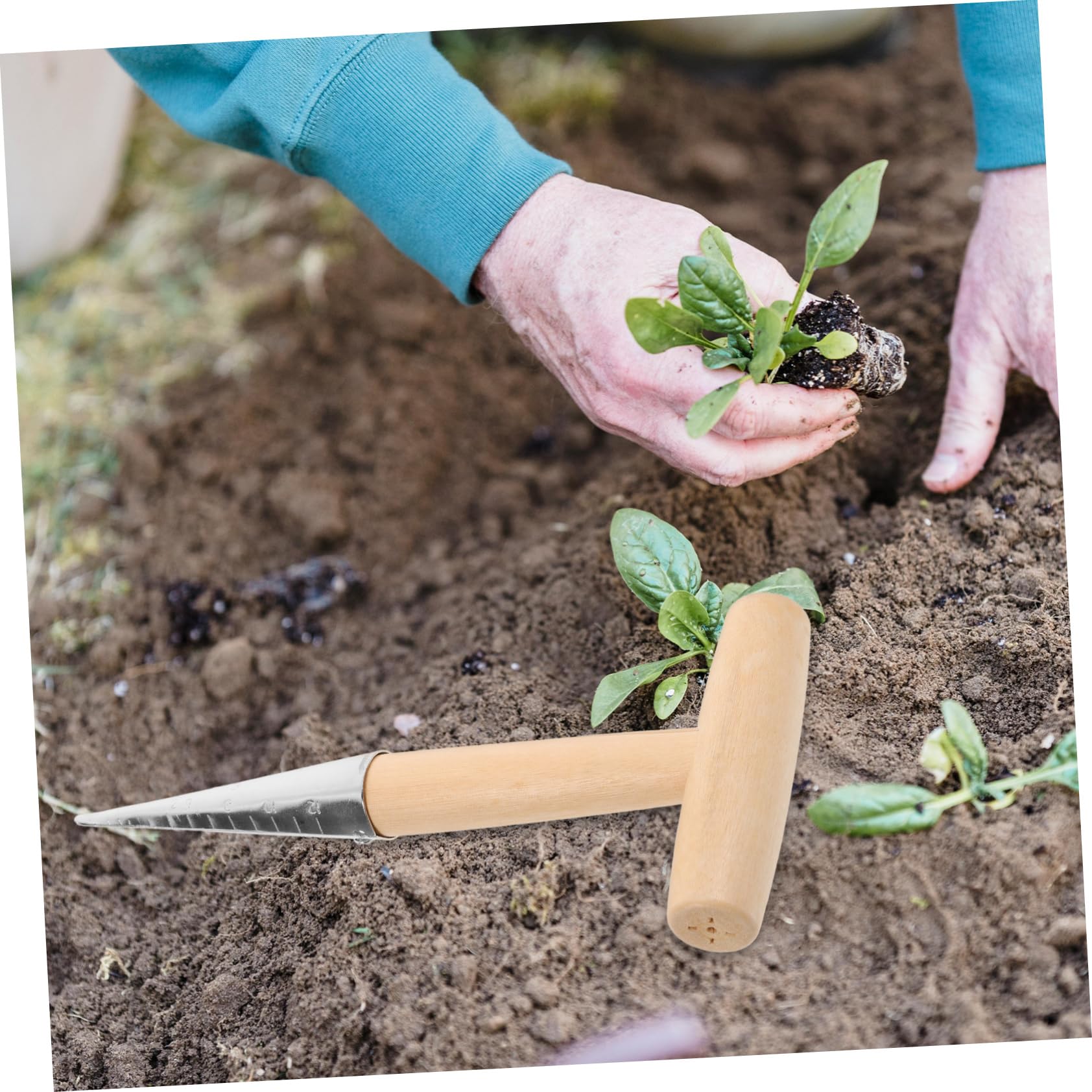 Levemolo Convenient Dibber for Garden Portable Seedling Puncher Hand Held Bulb Planter Loosen Tools Gardening Tool