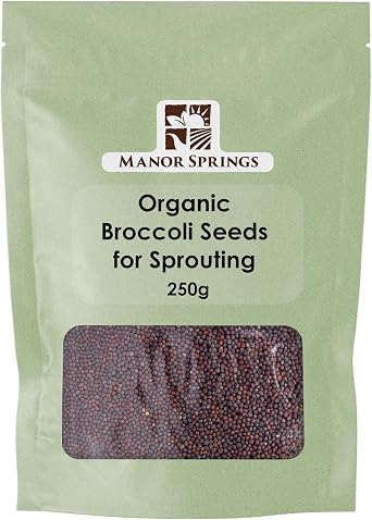 Organic Broccoli Seeds for Sprouting 250g by Manor Springs