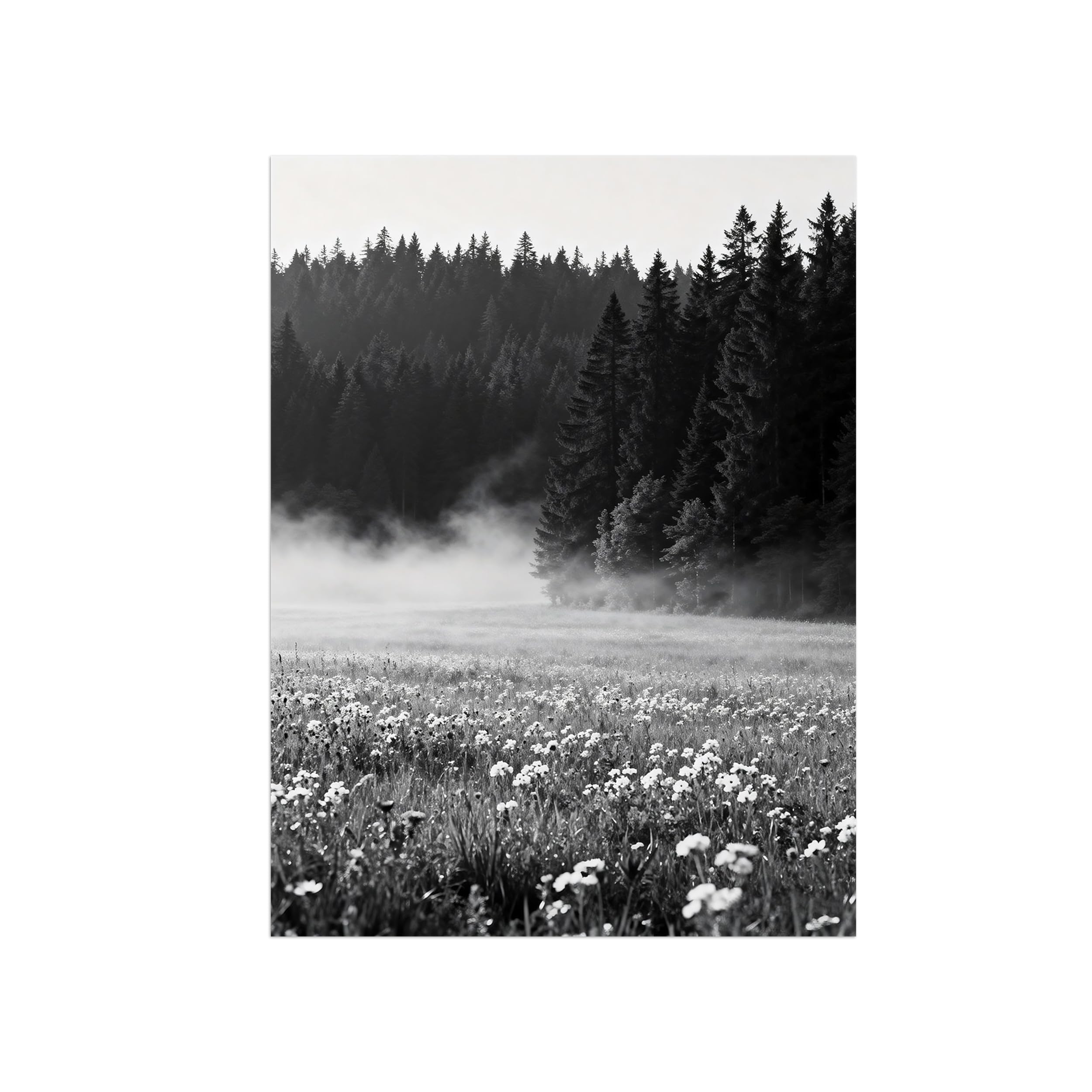Black White Landscape Wall Art. Forest Flowers. Picture 70x90cm Framed