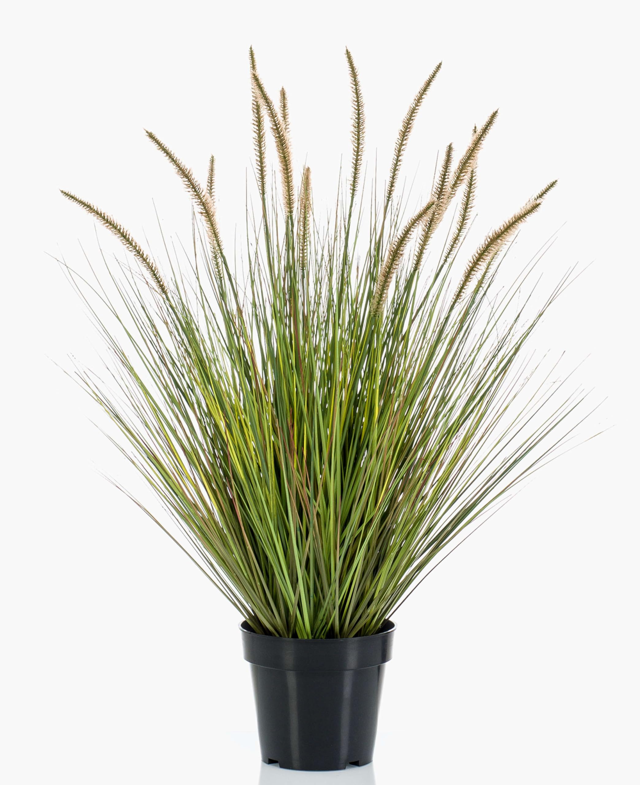 artplants Künstliches Grasbündel Unechtes Federborstengras YWAIN mit Rispen