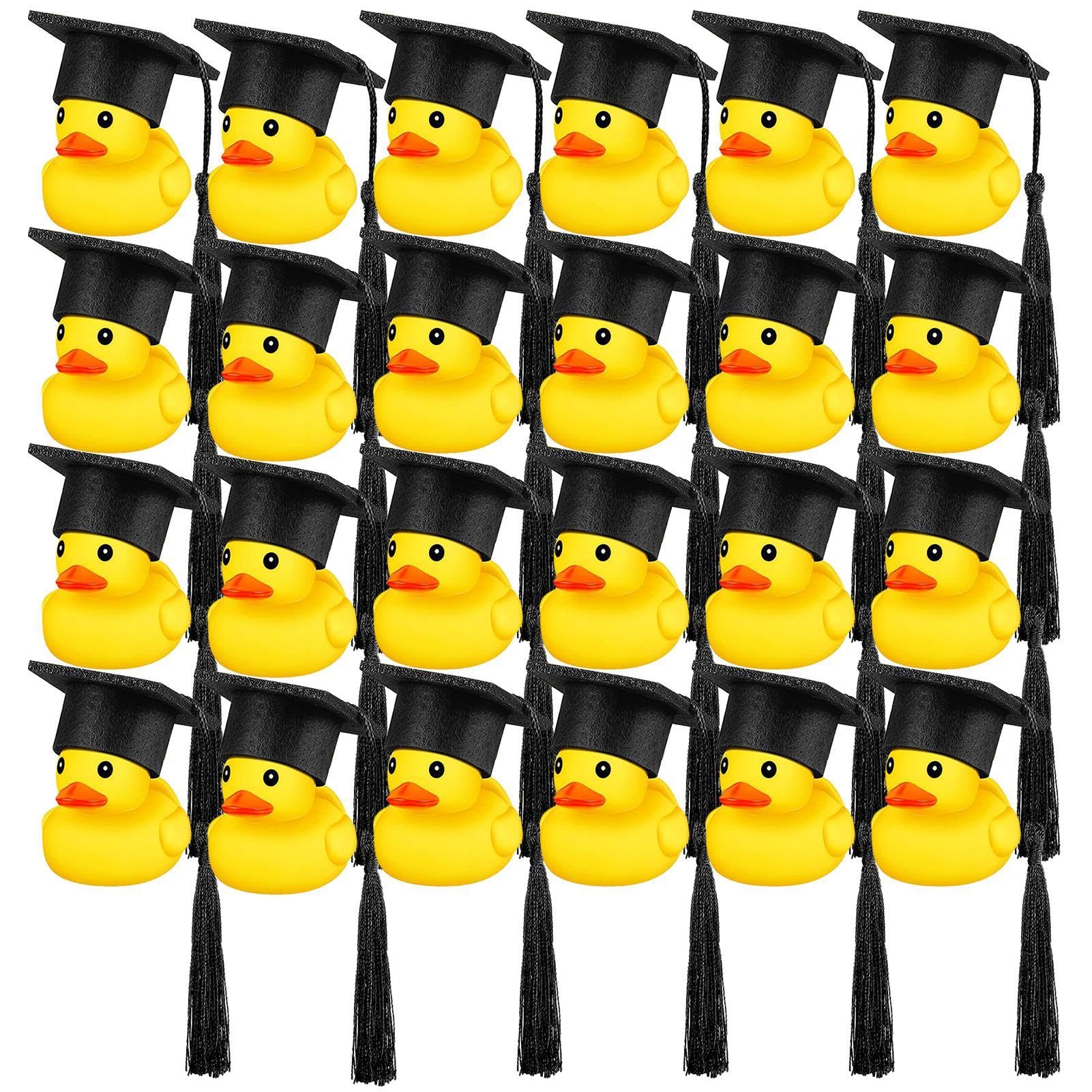 Un Canard Avec Un Diplôme Et Un Diplôme | Vecteur Premium Généré à Base