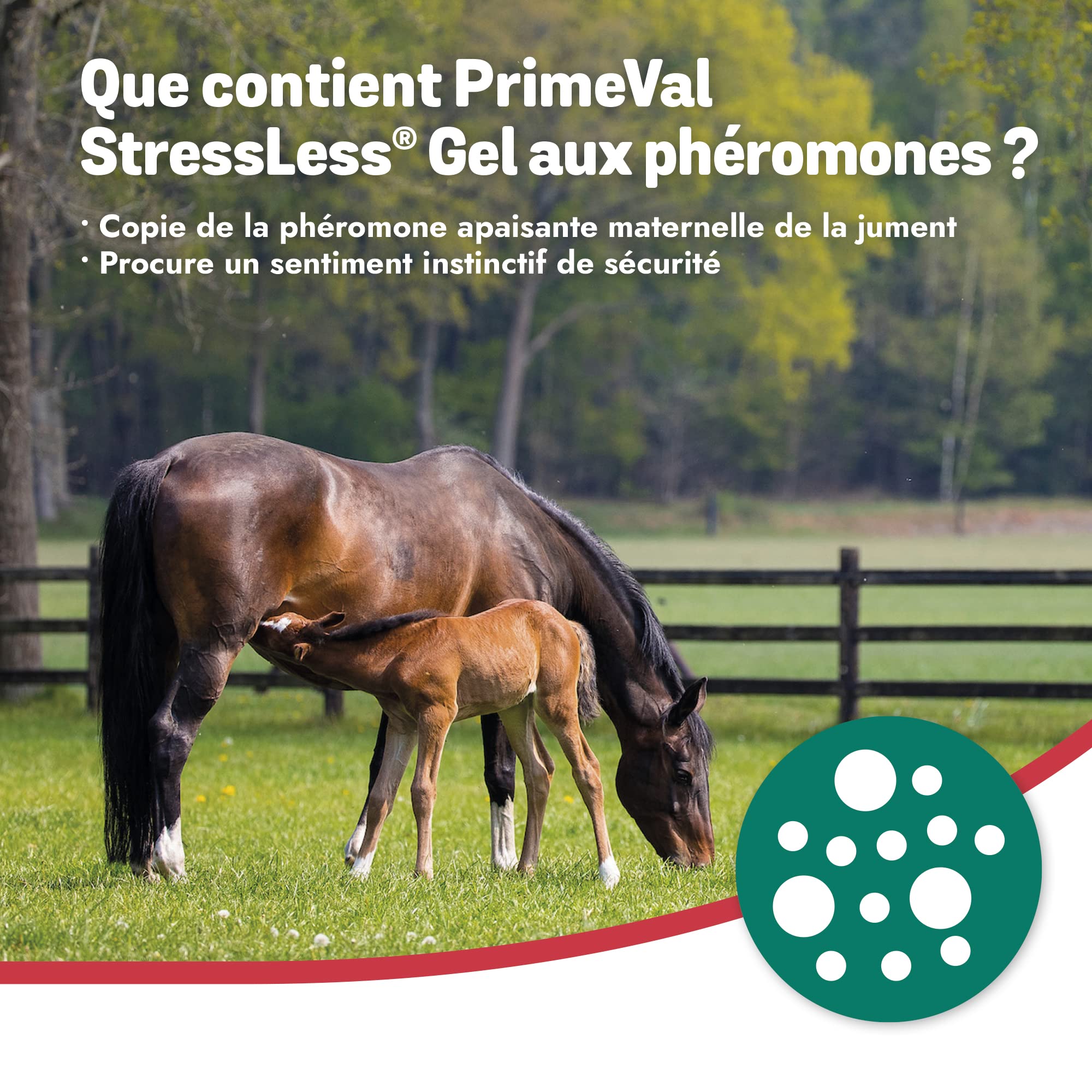 PRIMEVAL StressLess – Gel apaisant aux phéromones pour Cheval – Aliment complémentaire Naturel Anti-Stress à Base de phéromone apaisante Maternelle de Jument – sans Somnolence – 10 sachets de 5 ML