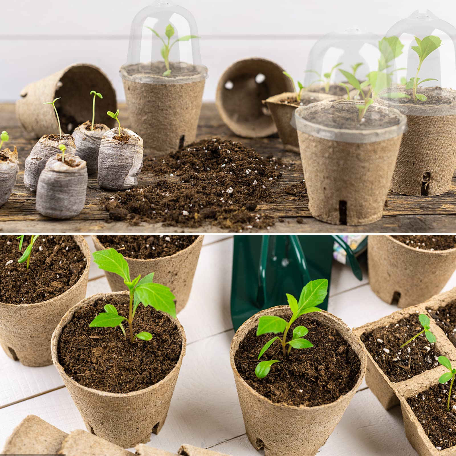 20pcs Semilleros Germinación Biodegradables Macetas Semillas para Germinación con Tapa Transparente Maceteros Biodegradables Pequeñas con Agujeros para Plantar Invernadero Huerto Jardín