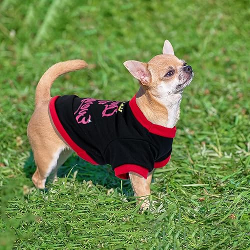 Miniatura 4 de 4 piezas de ropa para perros pequeños y niñas, camisas de verano y primavera para perros, lindas camisetas suaves para perros de Chihuahua Yorkie,