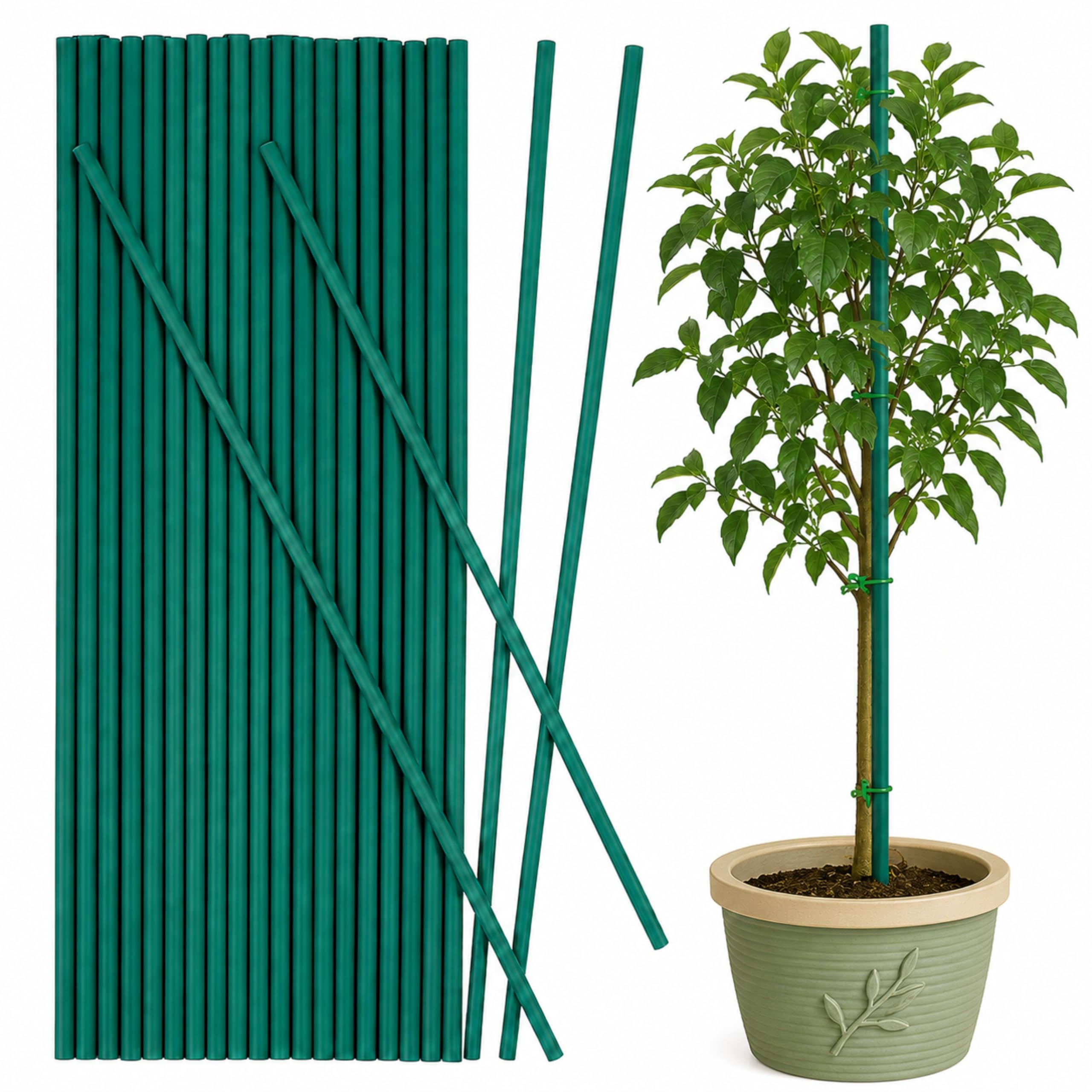 ALAYSTAR 50 Pack Green Bamboo Garden Stakes Plant Support Canes. (75CM)