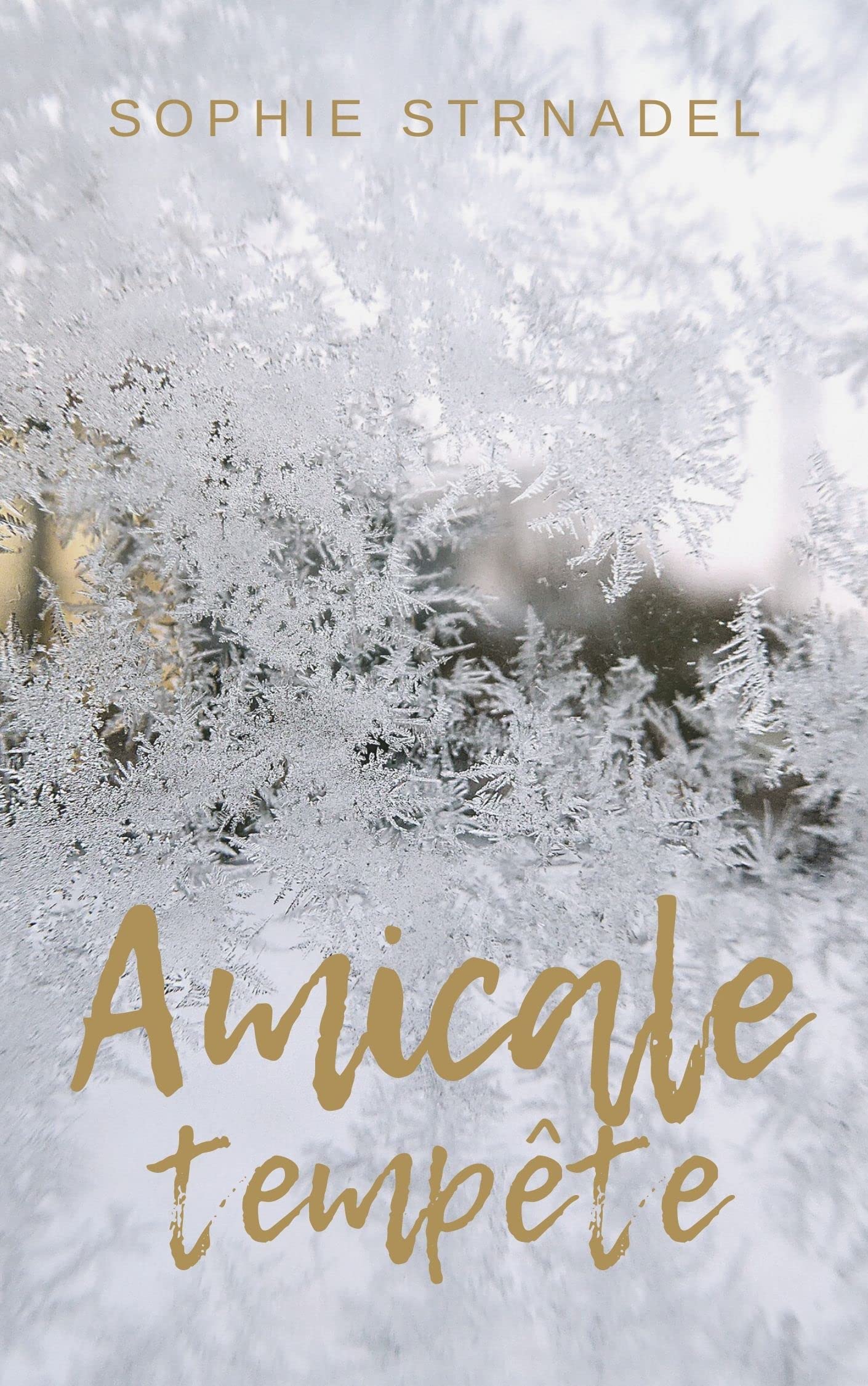 Amicale tempête (French Edition)