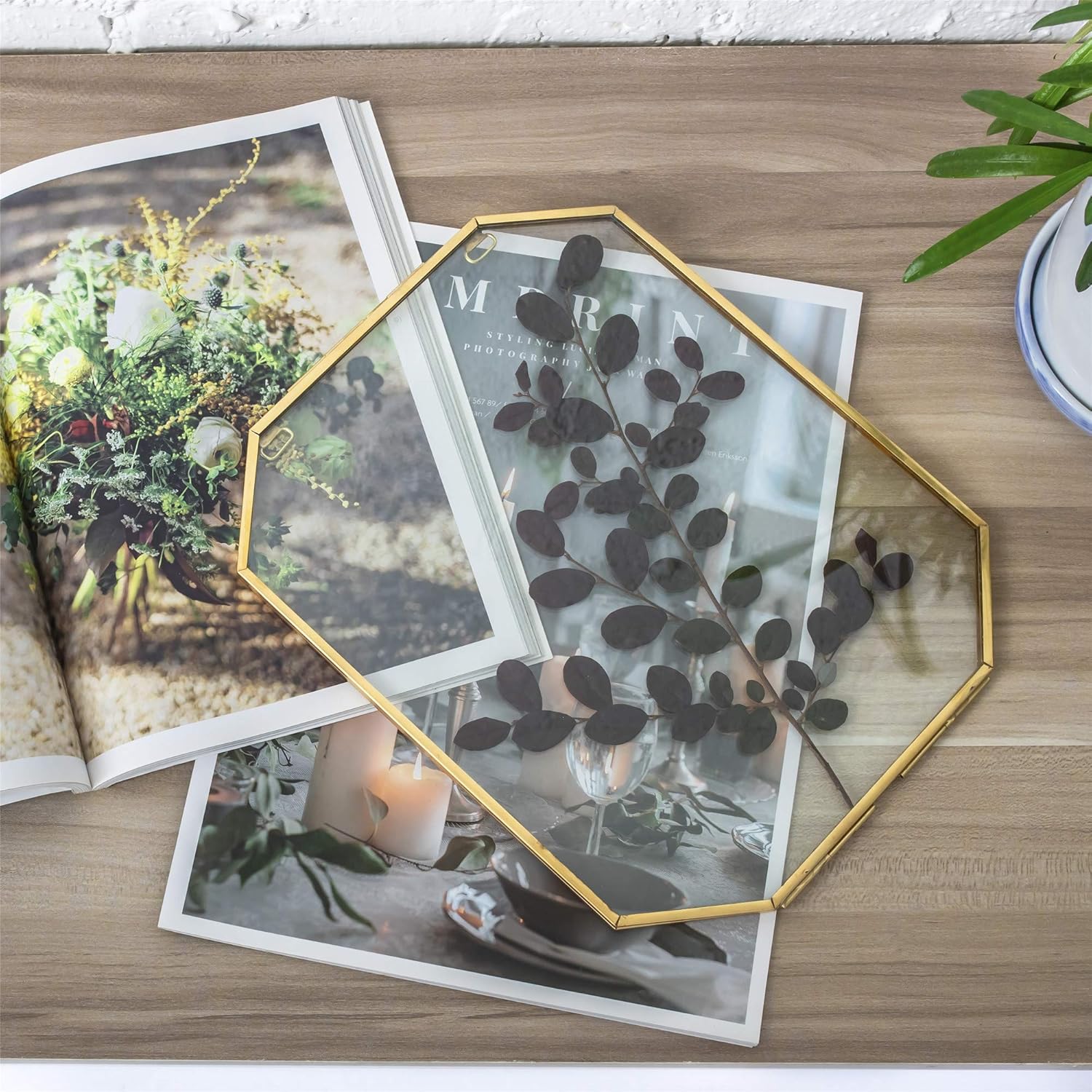 NCYP Double Glass Floating Frame for Pressed Dried Flowers, Plant Specimen, Photo, Poster - Wall Hanging Decor, Octagon Herbarium 8x10 Inches, Gold Clear (Glass Frame Only)