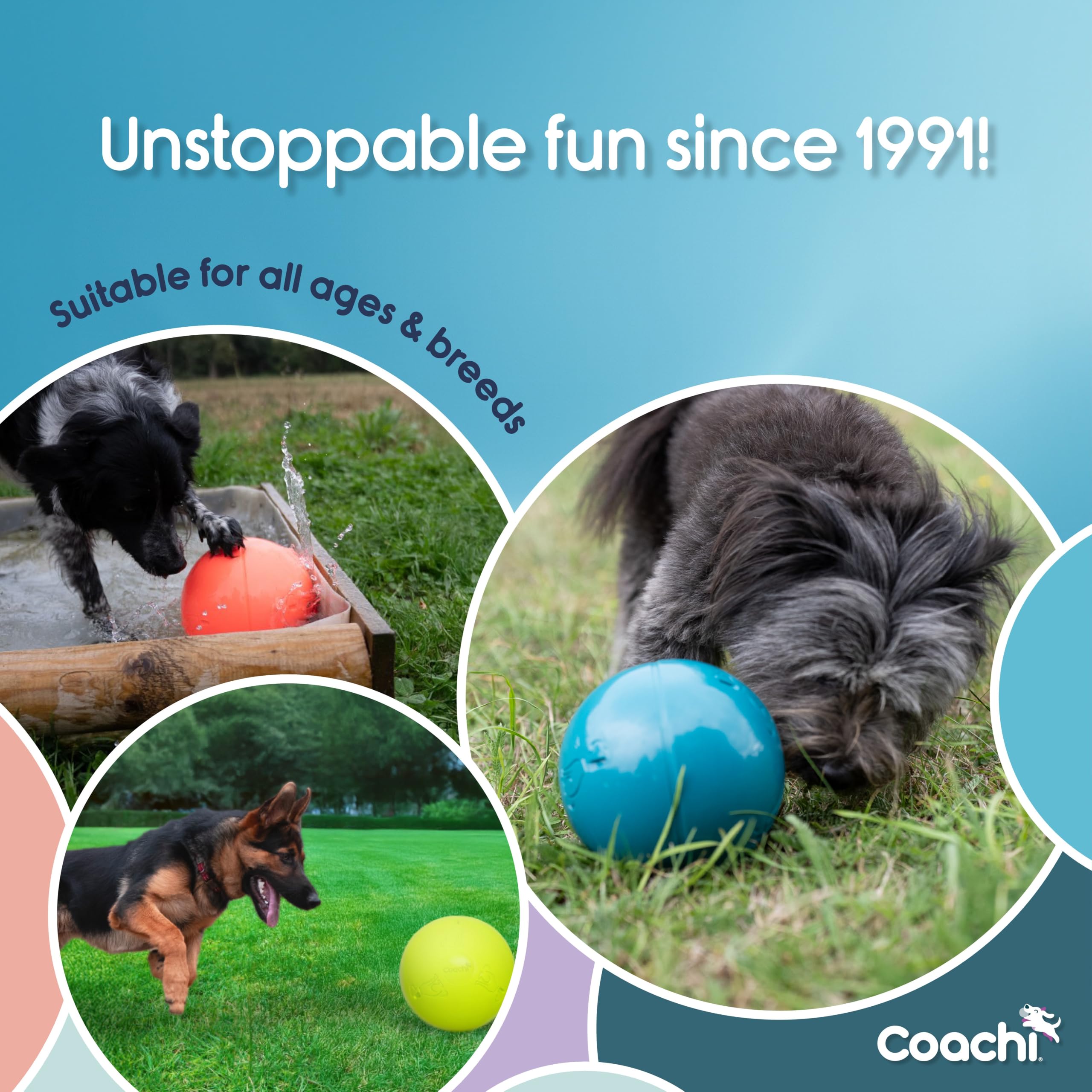 Coachi Boomi Balle | 25 cm | Chaux électrique | Jouet résistant pour chiens actifs | Durable et Longue Durée | Flotte pour le Jeu Aquatique | Conçu par des experts canins