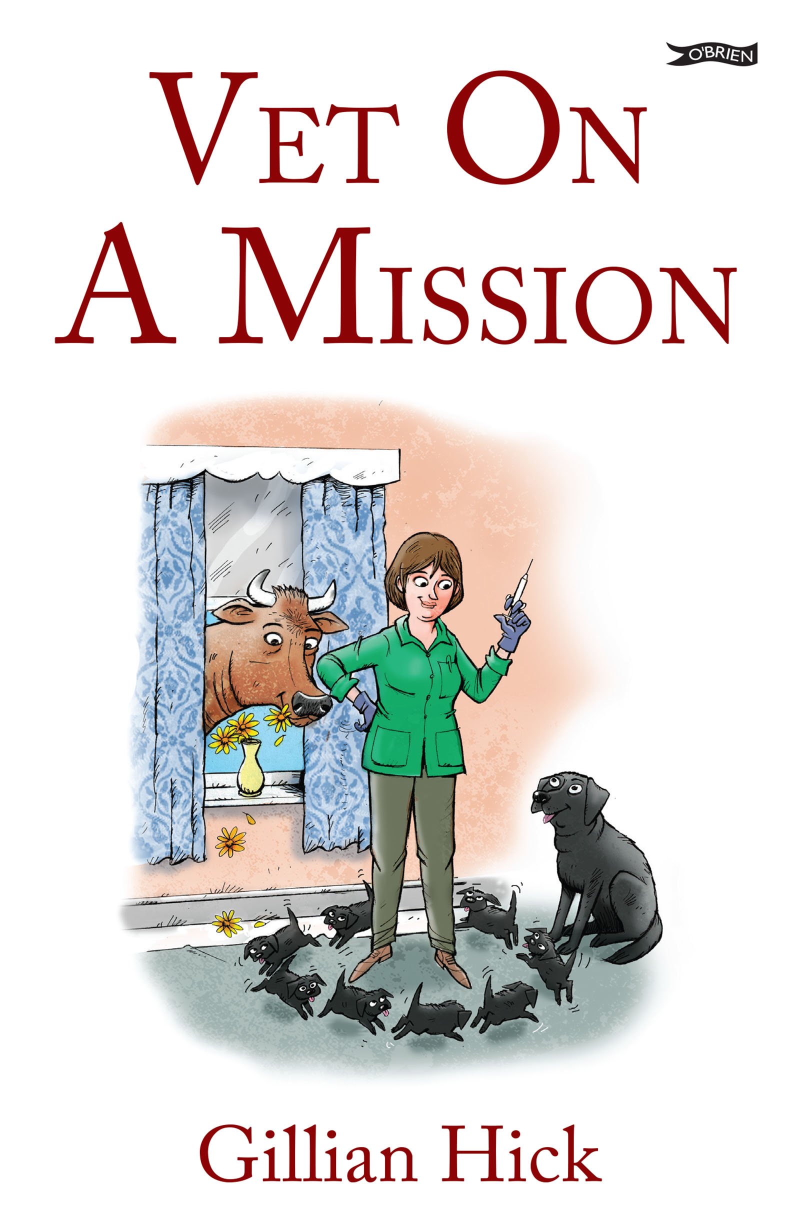Vet On A Mission by Gillian Hick PAPERBACK 9781788490269