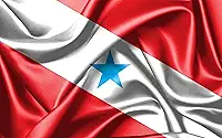 Bandeira Estado Do Pará Oxford 150x90 Cm
