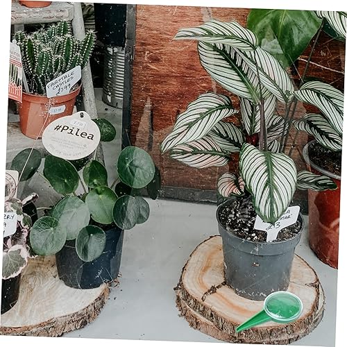 Miniatura 4 de 4pcs dispensador sembrador herramienta