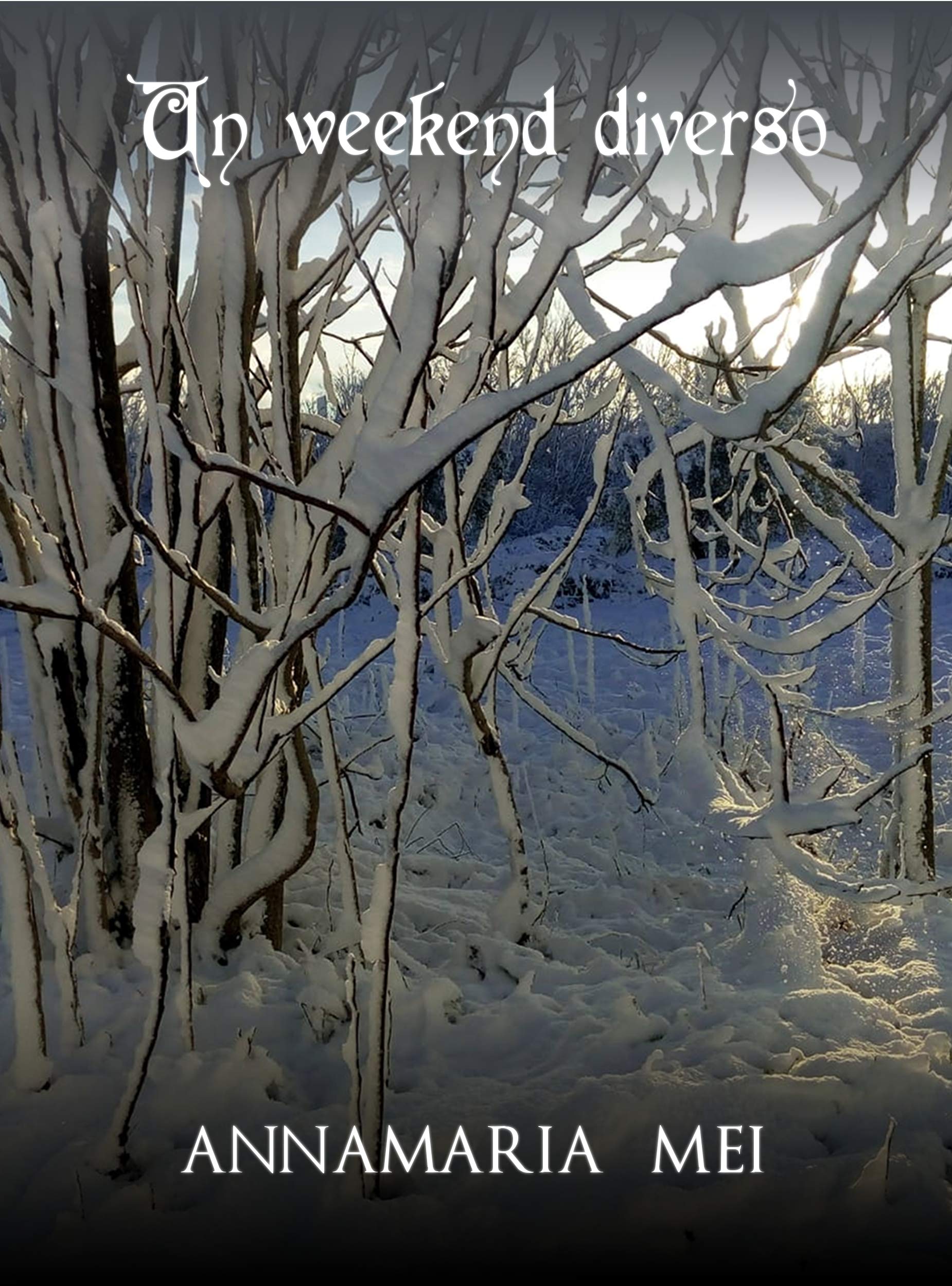 Un weekend diverso (Italian Edition)