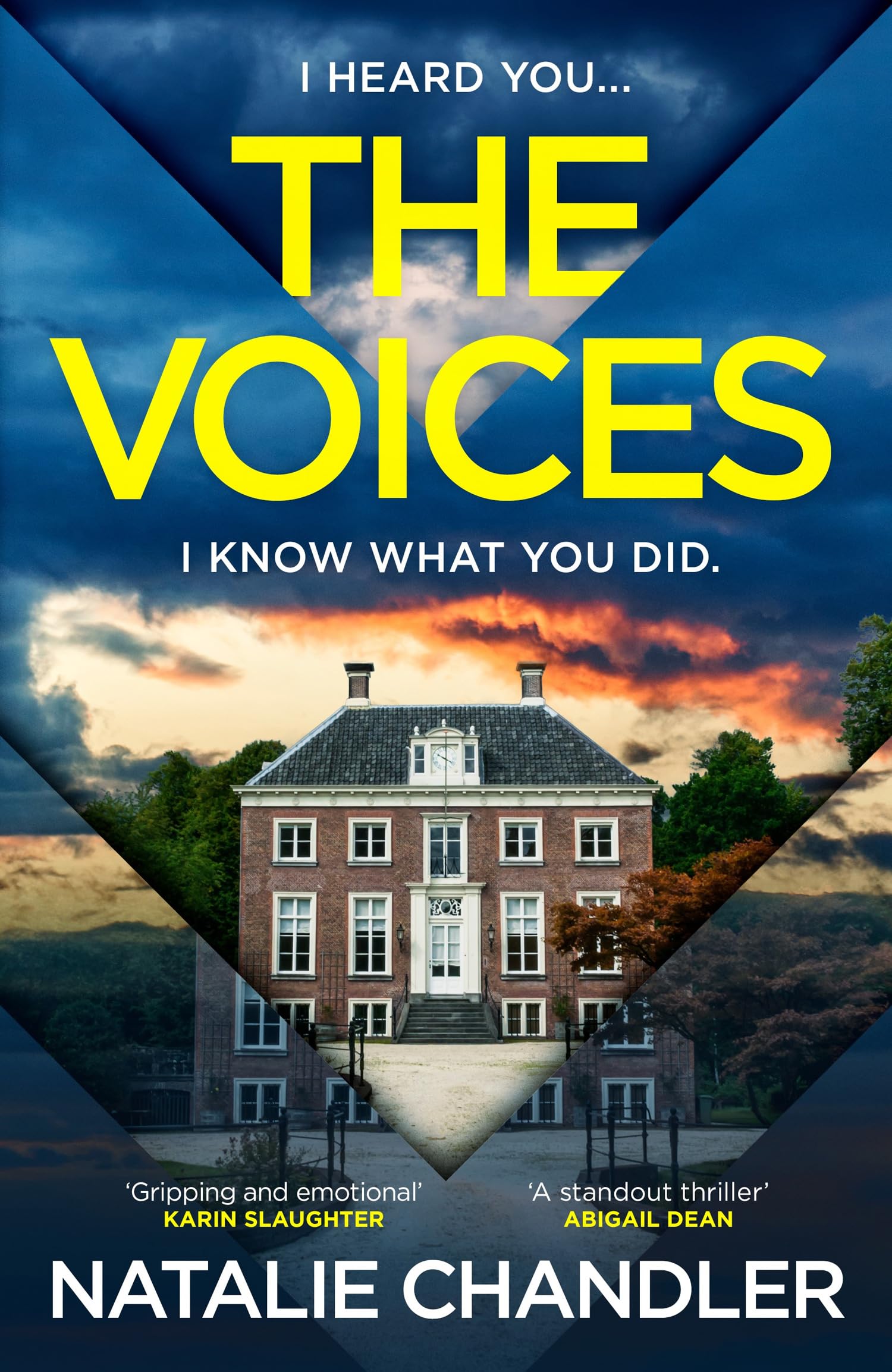 The Voices: The gripping and emotional psychological thriller from the internationally bestselling crime author