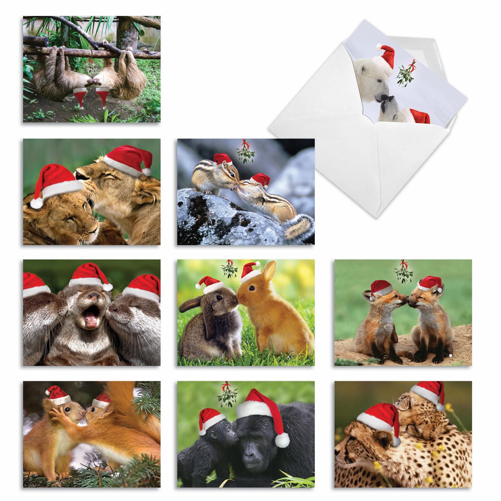 Best Card Co 10 Christmas Mini Boxed Cards Wildlife M6594XSB
