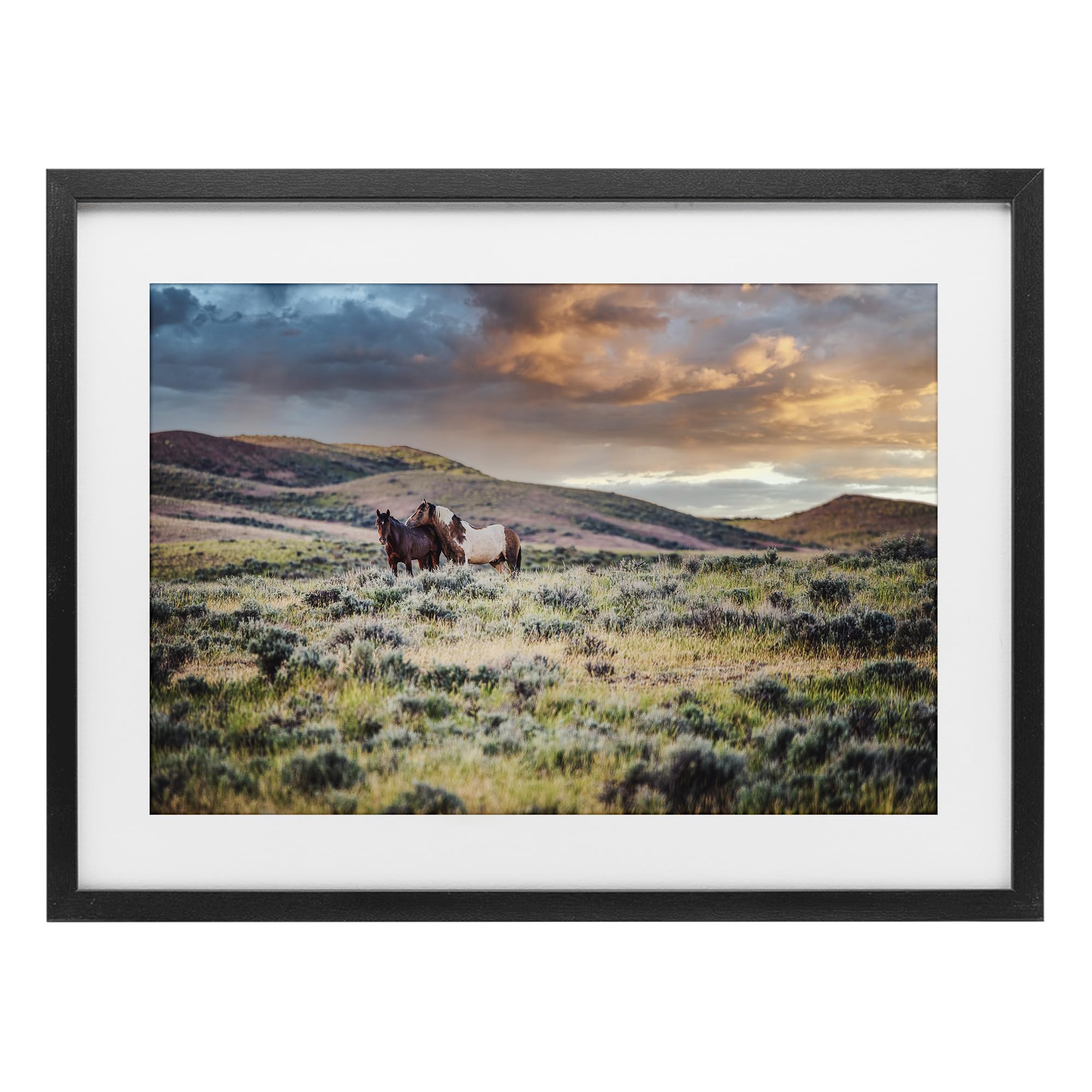 Stupell Industries Midnight Black (Textured) 'Stay Close Horses'| Framed Print Under Glass