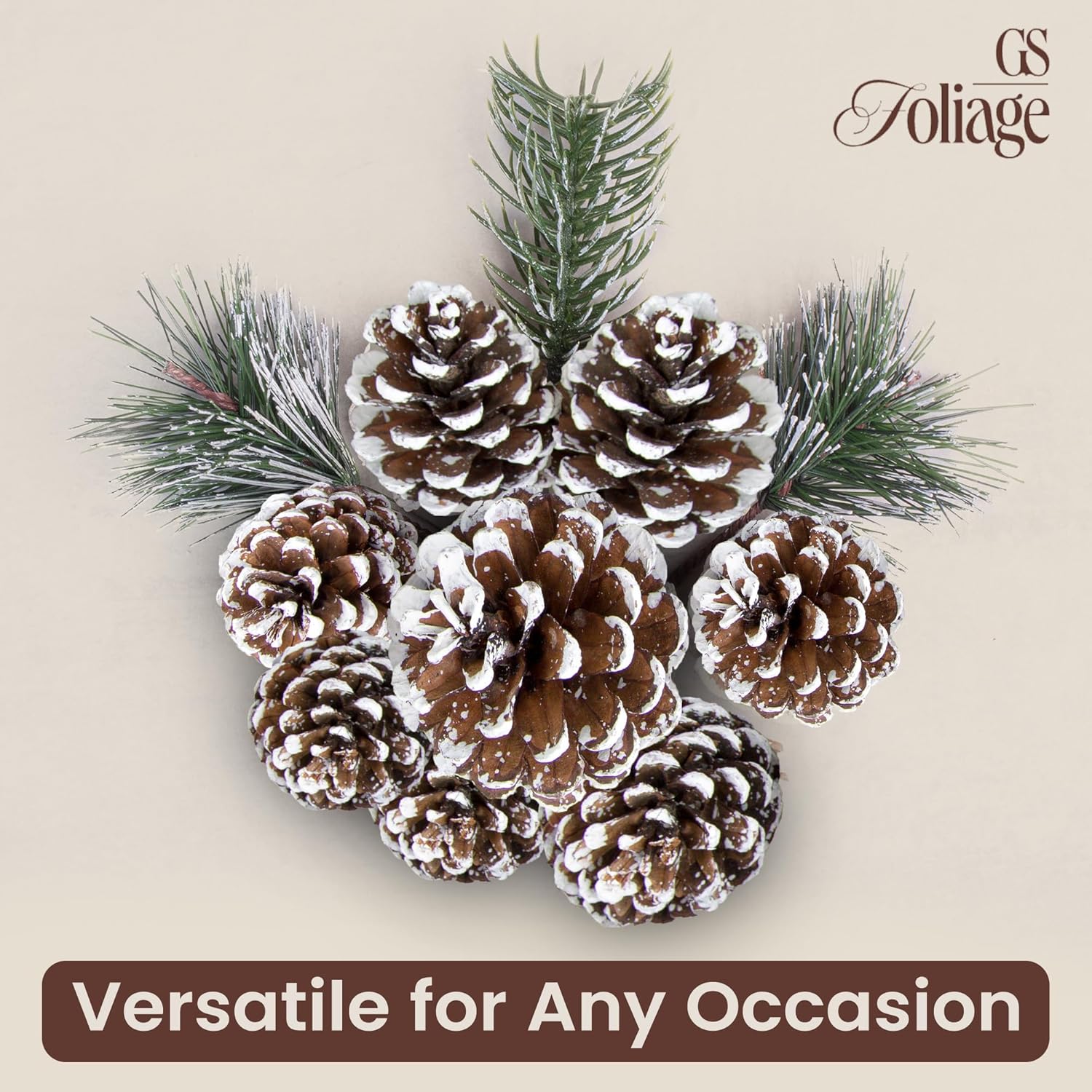Frosted Austriaca Pine Cones for Crafts - 2-3 Inch Winter Pinecones for Christmas Decorating Ornaments Snowy Holiday Decorating Vase Filler - Rustic Dried Pine Cones - Set of 24 – Frosted