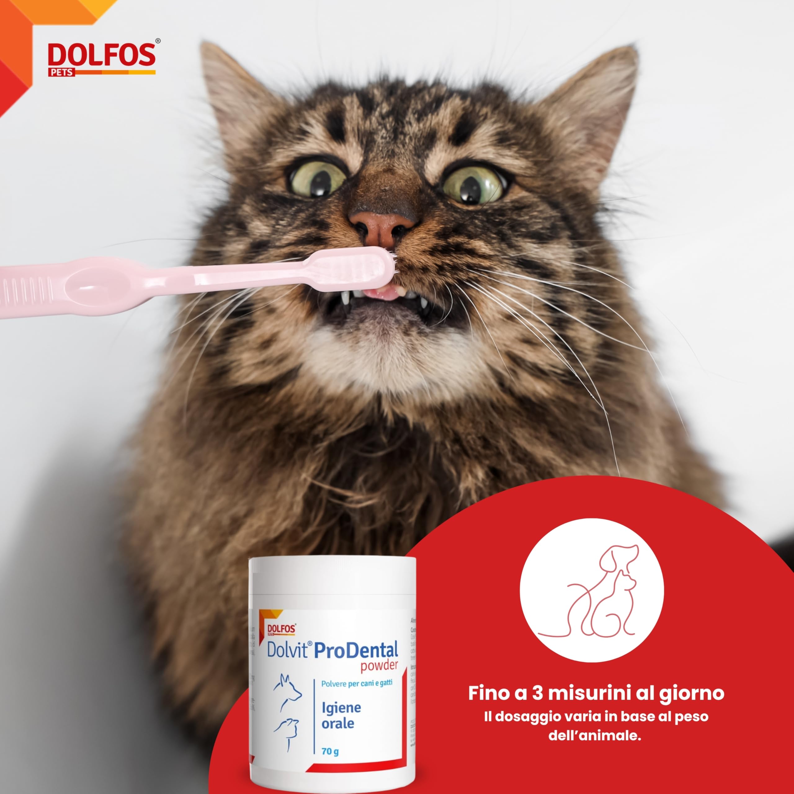 Dolvit Prodental Integratore per Igiene Orale Cane Gatto - Pulizia Bocca Cani e Gatti dai Batteri - Rimuove Placca, Tartaro e Alitosi Rendendo Fresco l’Alito - Confezione da 70 gr